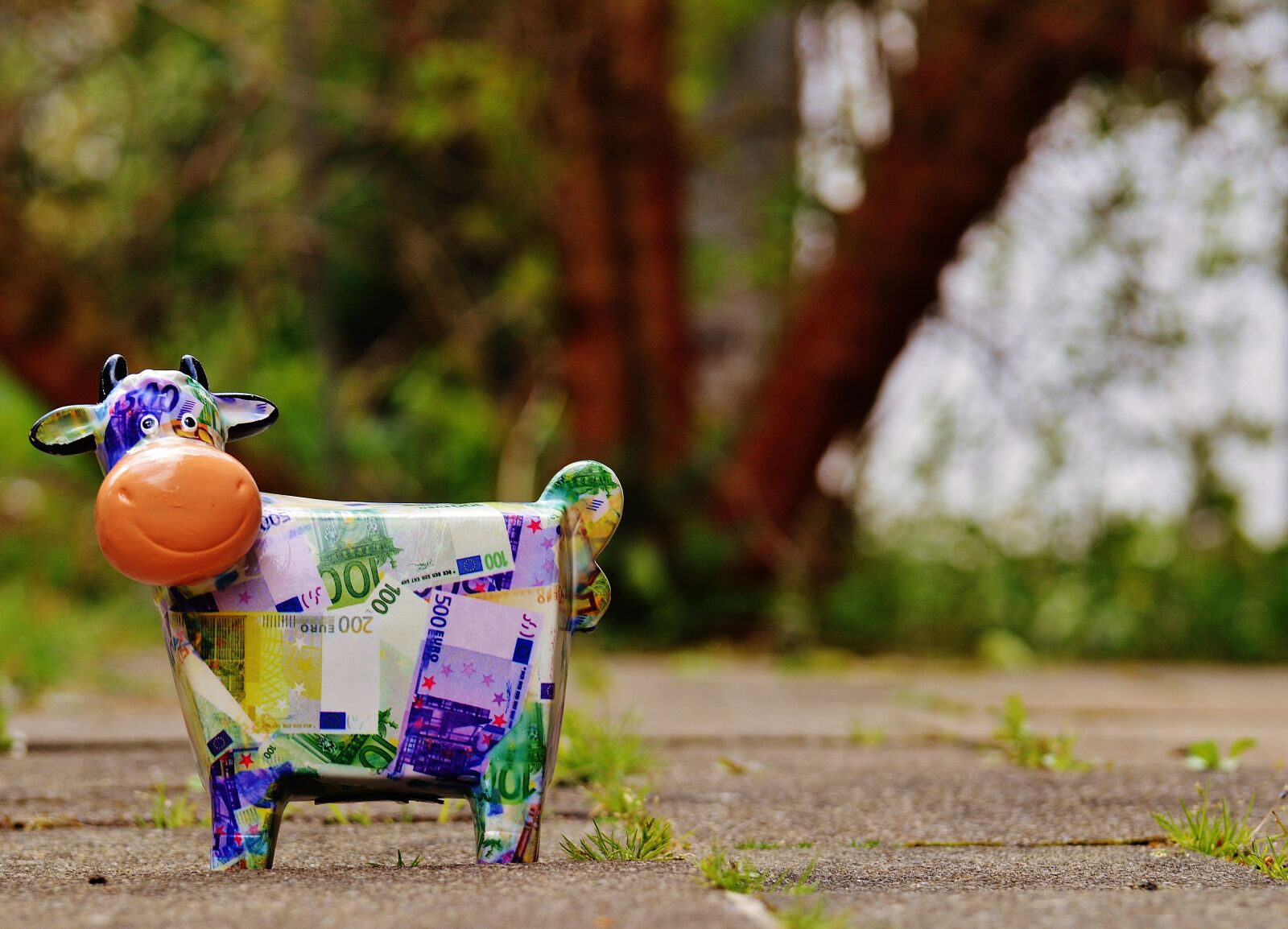 Nikon D3200 sample photo. Cow, save, money photography