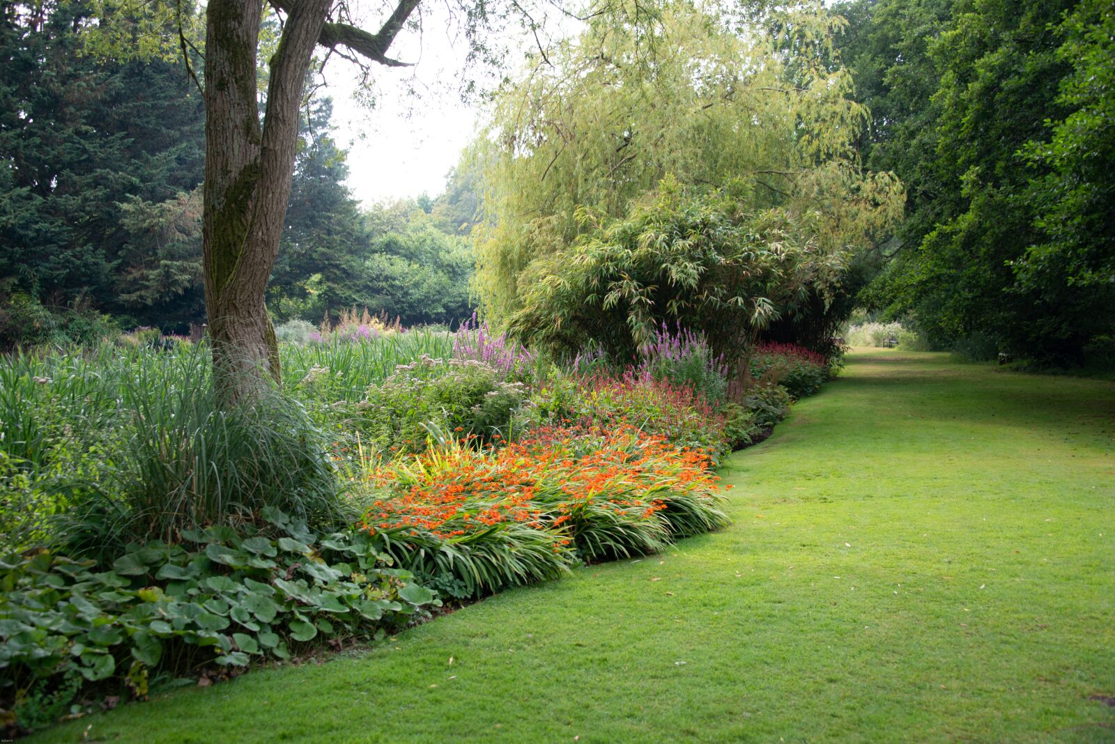 Nikon D800 sample photo. English, country, garden photography