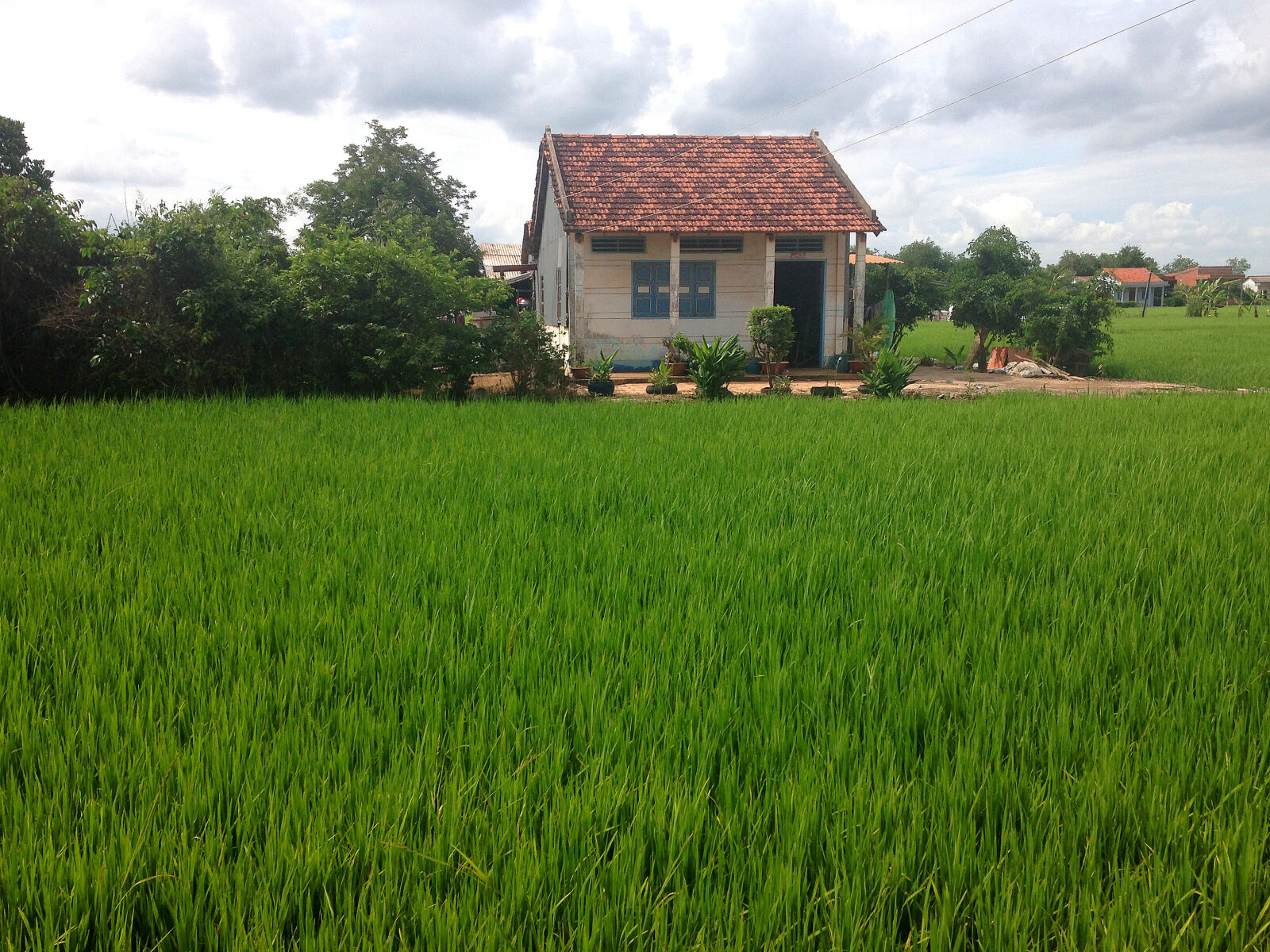 iPhone 5c back camera 4.12mm f/2.4 sample photo. Crop, farm, farmhouse, farming photography