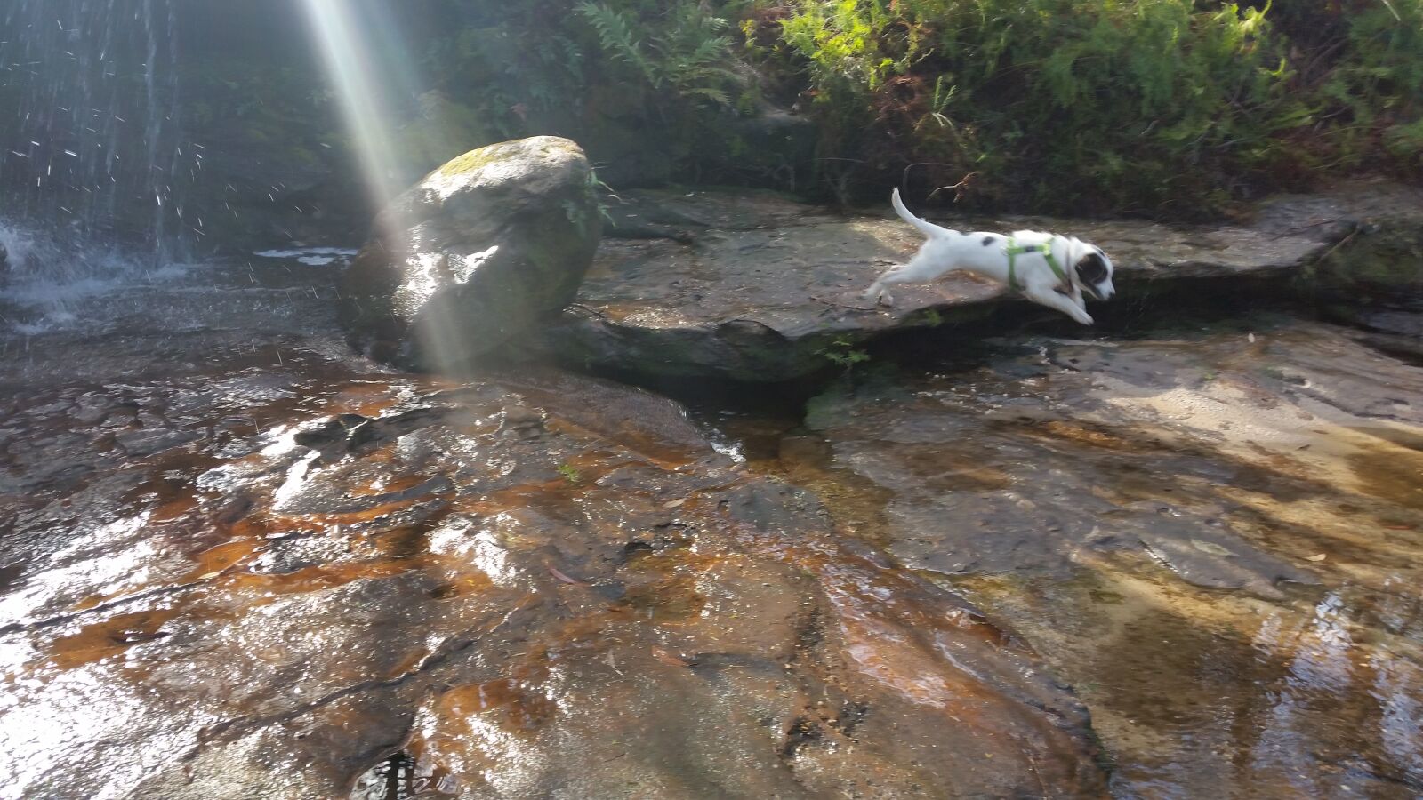 Samsung Galaxy S5 sample photo. Pond, sunbeams, waterfall photography