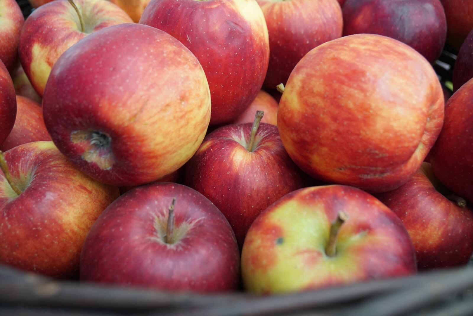 Sony a6500 + Sony Vario-Tessar T* E 16-70mm F4 ZA OSS sample photo. Fruit, apple, food photography