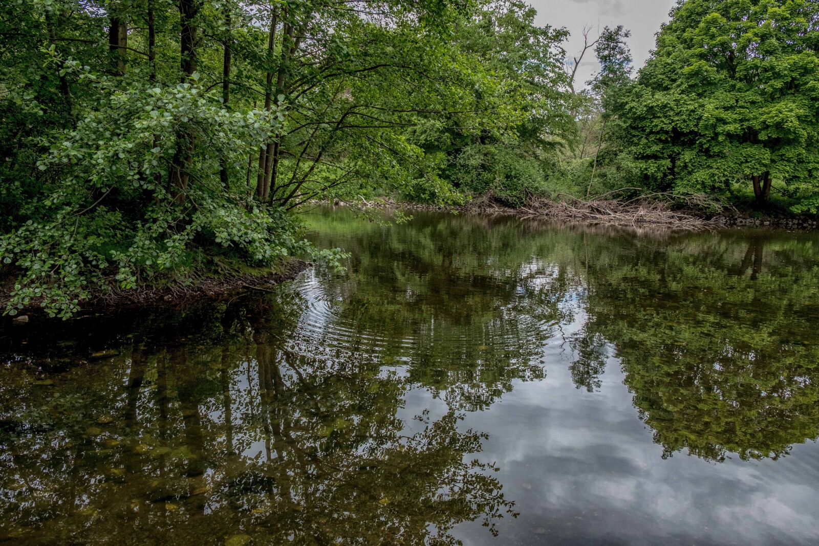 Fujifilm X-T2 sample photo. Düren, rur, water photography