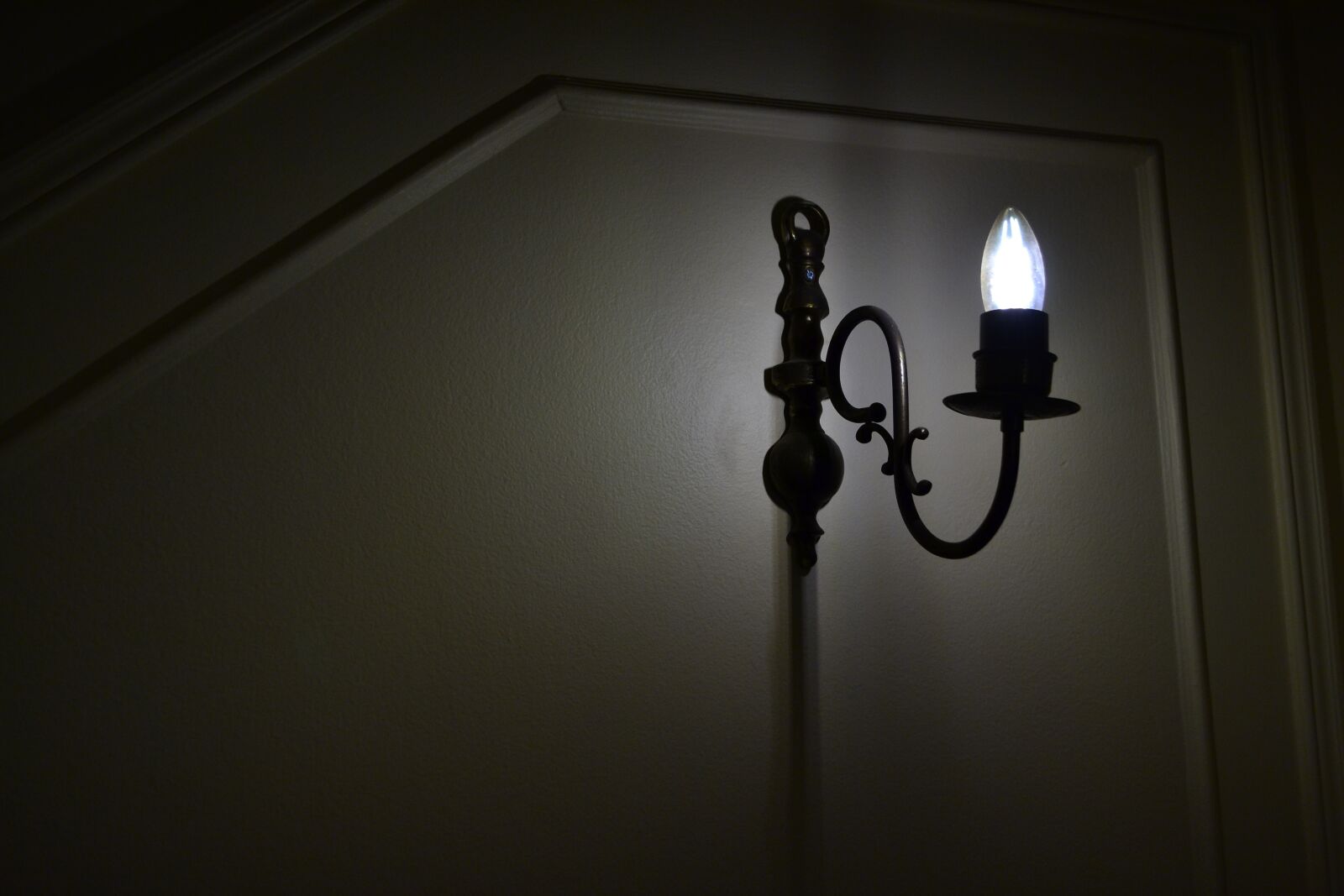 Nikon D3100 sample photo. Focus, twilight, blurry photography