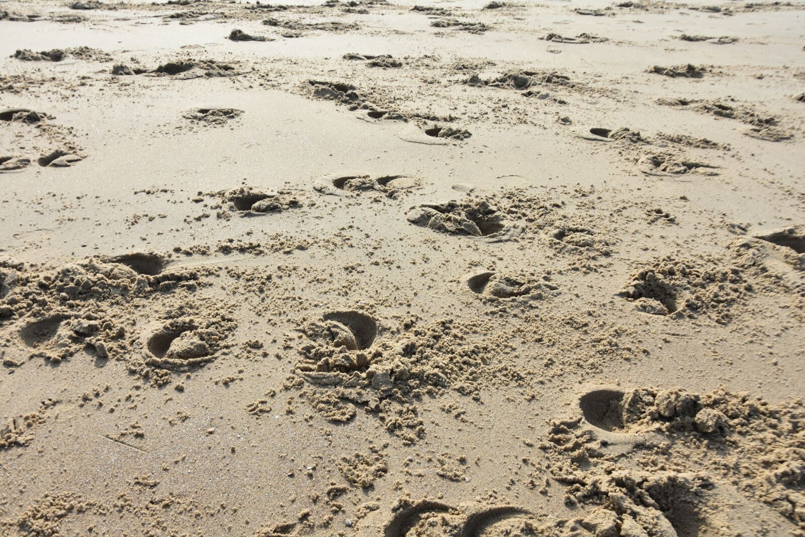 Nikon D3400 sample photo. Hoof prints, hoofprints, beach photography