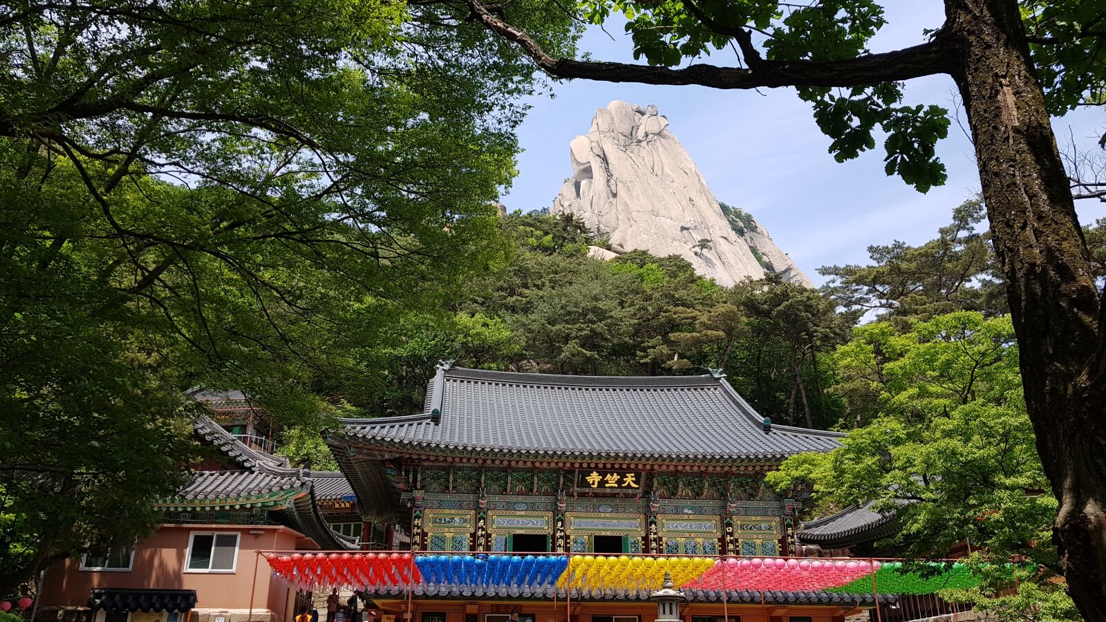 Samsung Galaxy S8+ sample photo