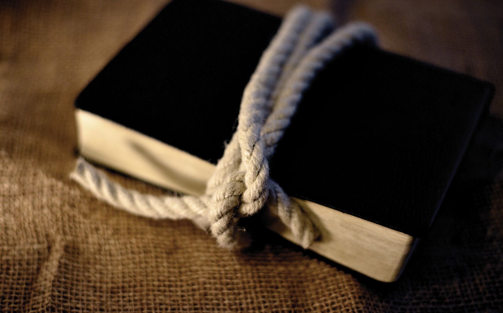 Nikon D610 sample photo. Rope, knot, book photography