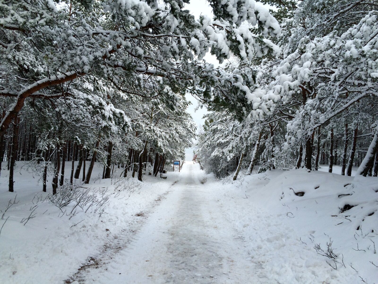 iPhone 5s back camera 4.15mm f/2.2 sample photo. The path, winter, snow photography