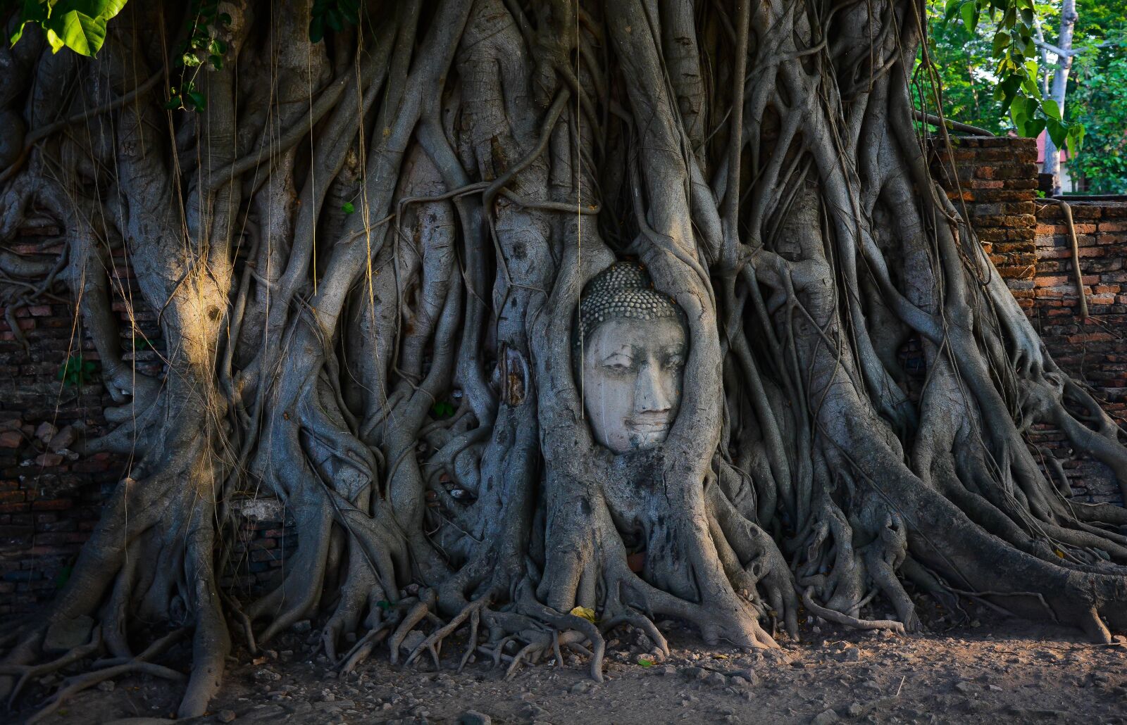 Nikon D7100 sample photo. Buddha, thailand, statue photography