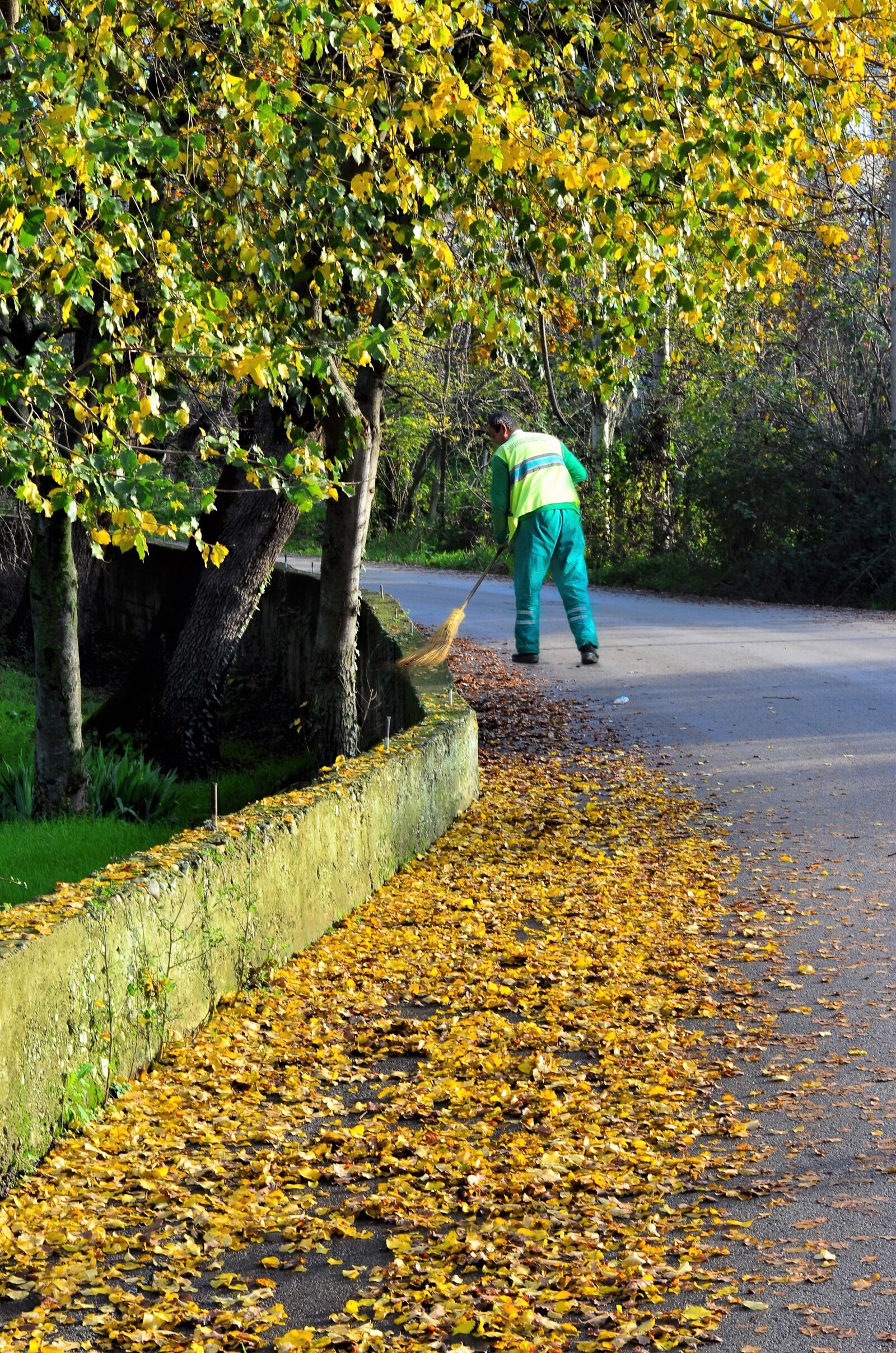 Nikon D5100 sample photo. Autumn, scholarship, doburca photography