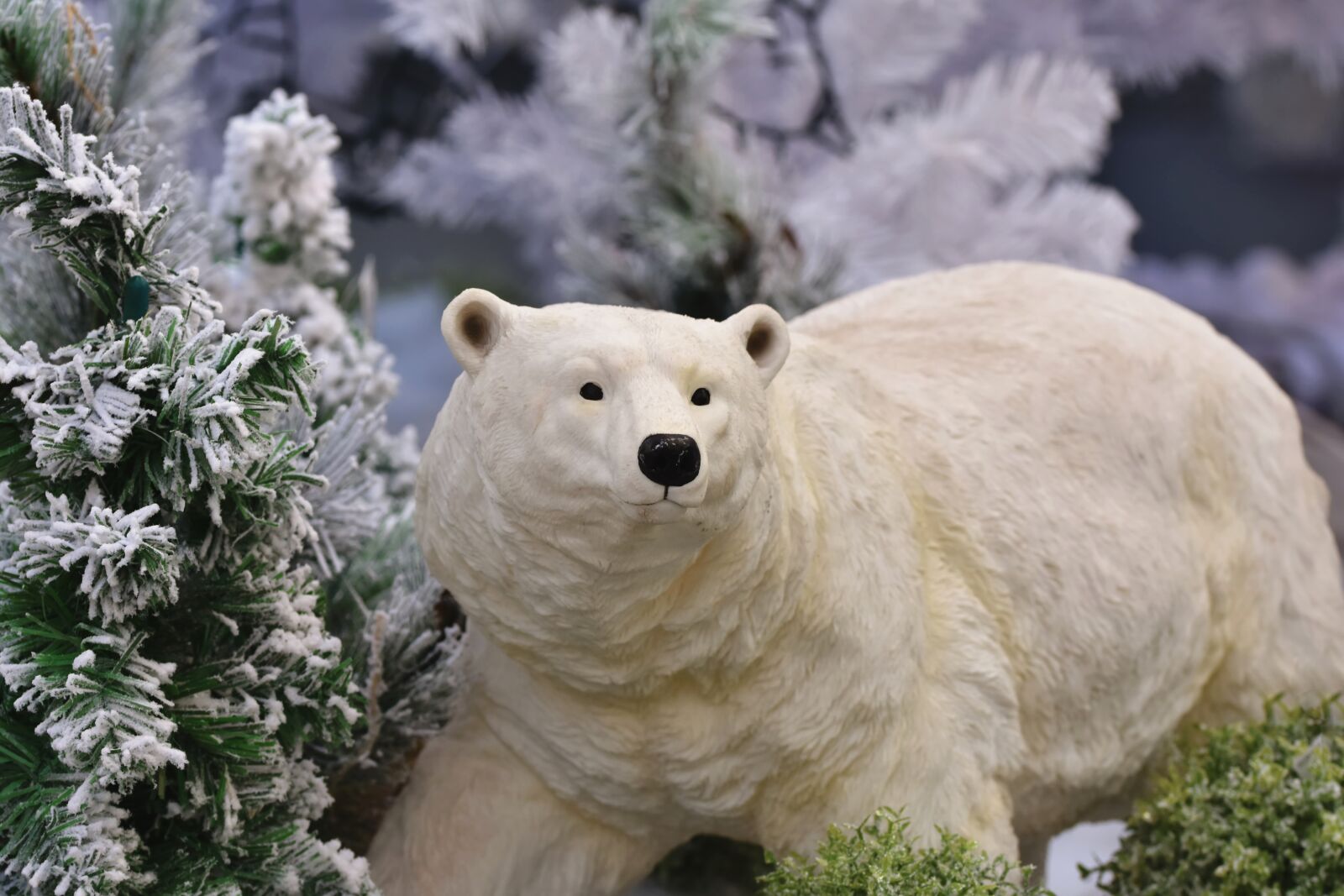 Nikon D7200 sample photo. Polar bear, polar bear photography