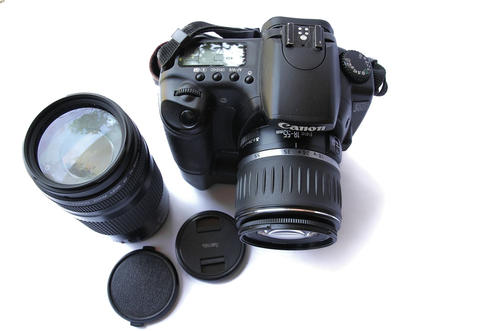 Canon EOS 7D sample photo. Canon, lens, professional, zoom photography