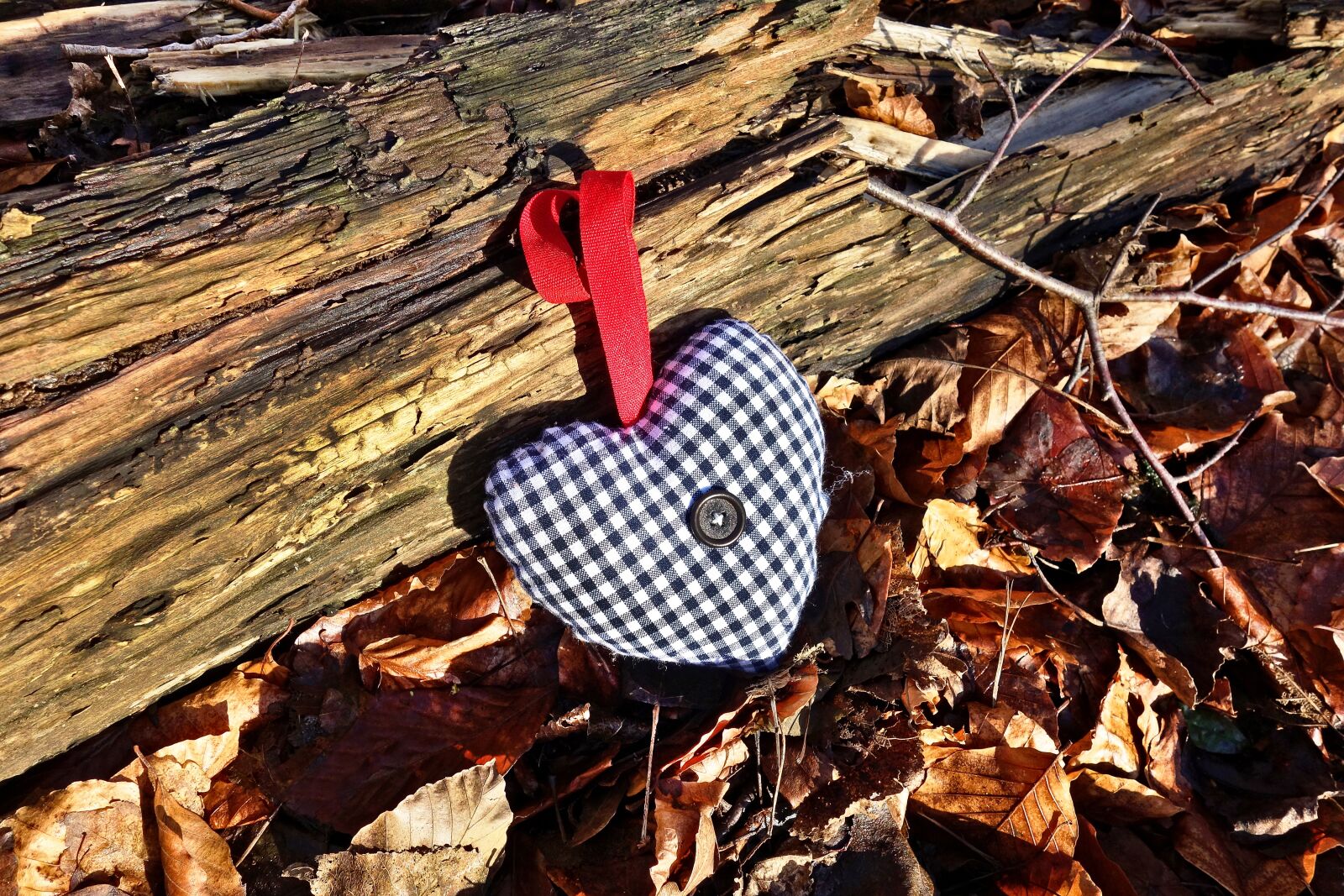 Sony Cyber-shot DSC-RX100 sample photo. Heart, stuffed heart, decoration photography