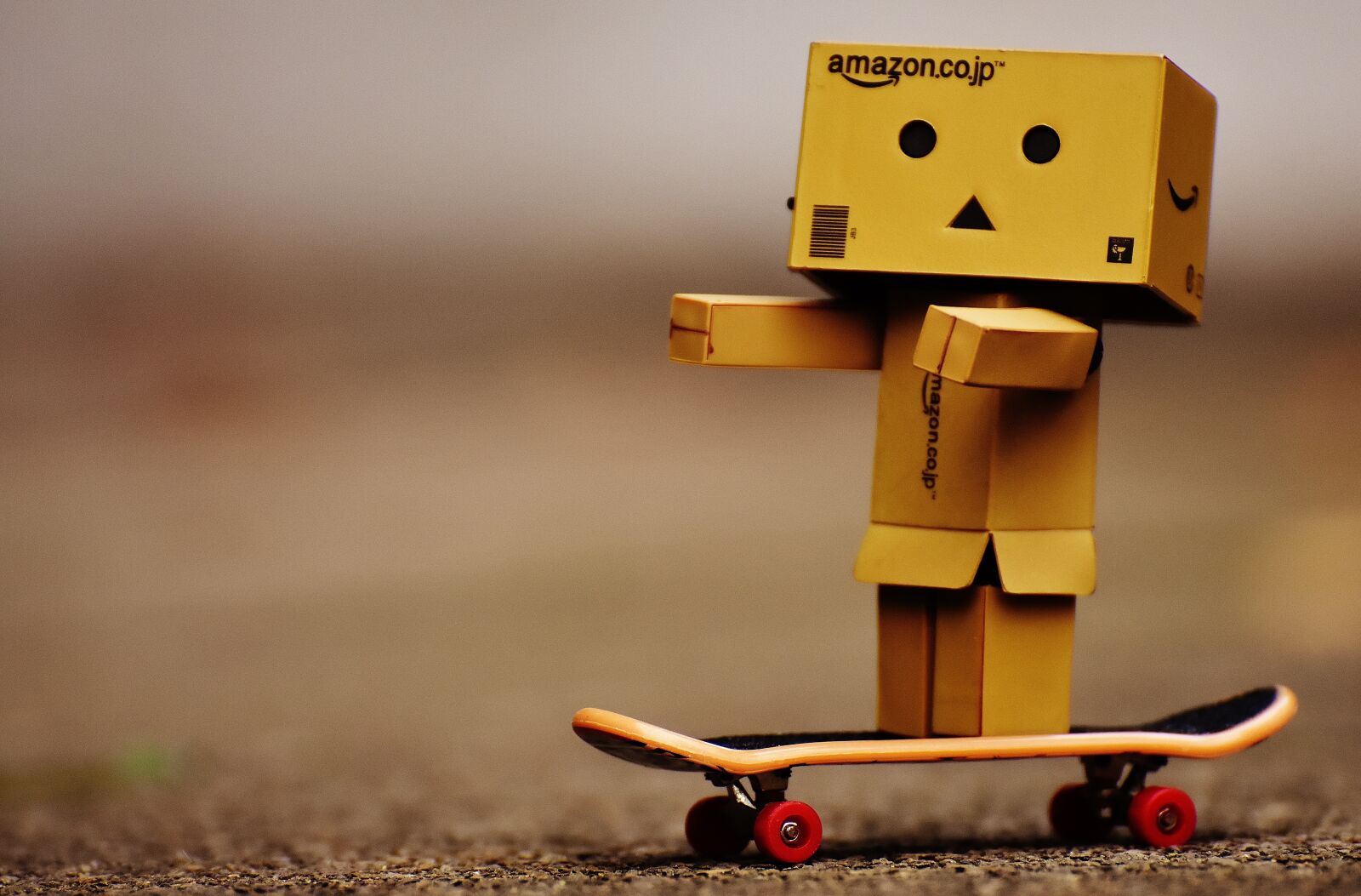 Nikon D7200 sample photo. Danbo, skateboard, drive photography
