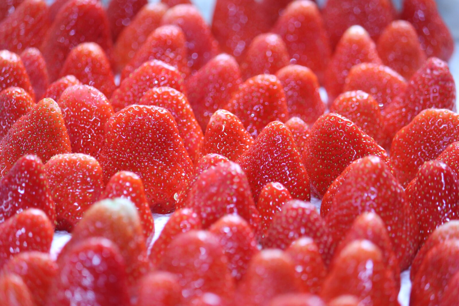 Canon EOS 60D sample photo. Strawberries, fruit, food photography