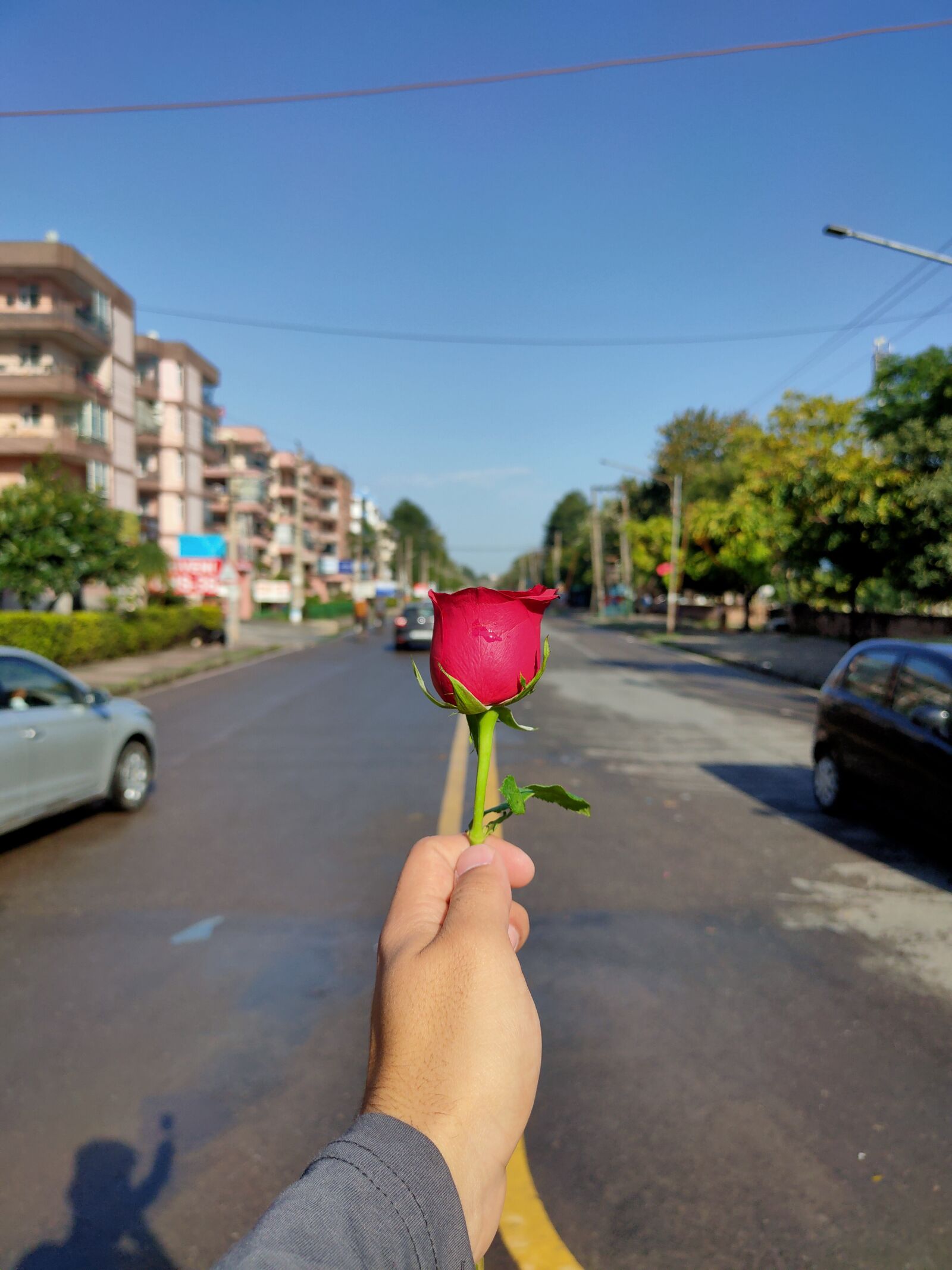 Realme XT sample photo. Rose, street, wallpaper photography