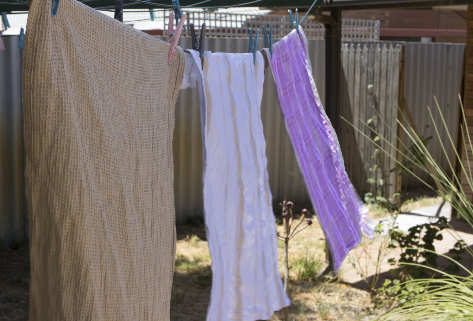Canon EOS 250D (EOS Rebel SL3 / EOS Kiss X10 / EOS 200D II) sample photo. Washing, wind, breeze photography