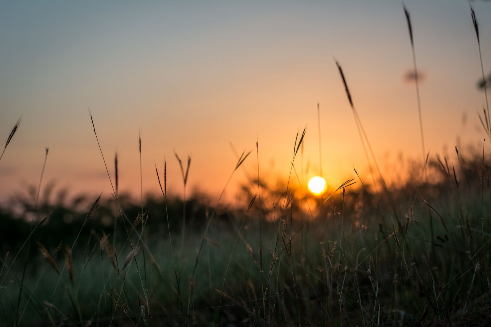 Nikon D7100 sample photo. Sunset, dawn, sun photography