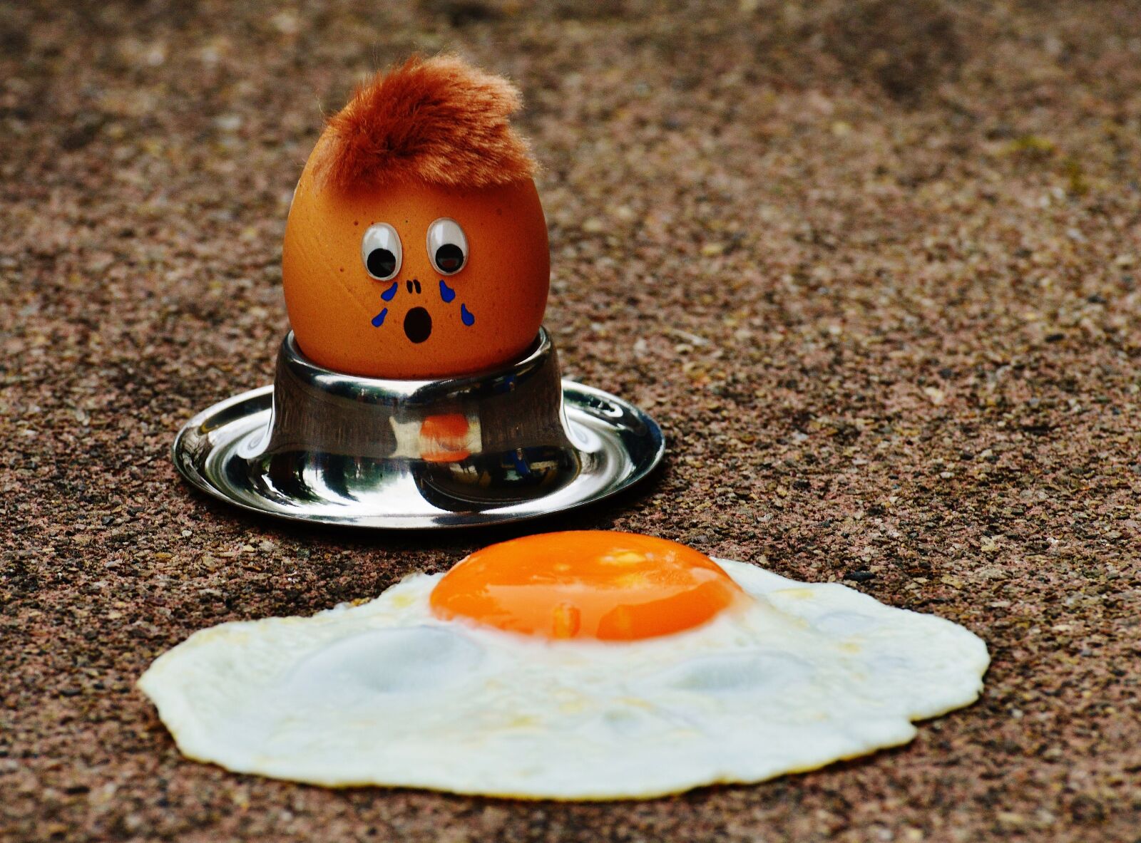 Nikon D3200 sample photo. Egg, fried, mourning photography