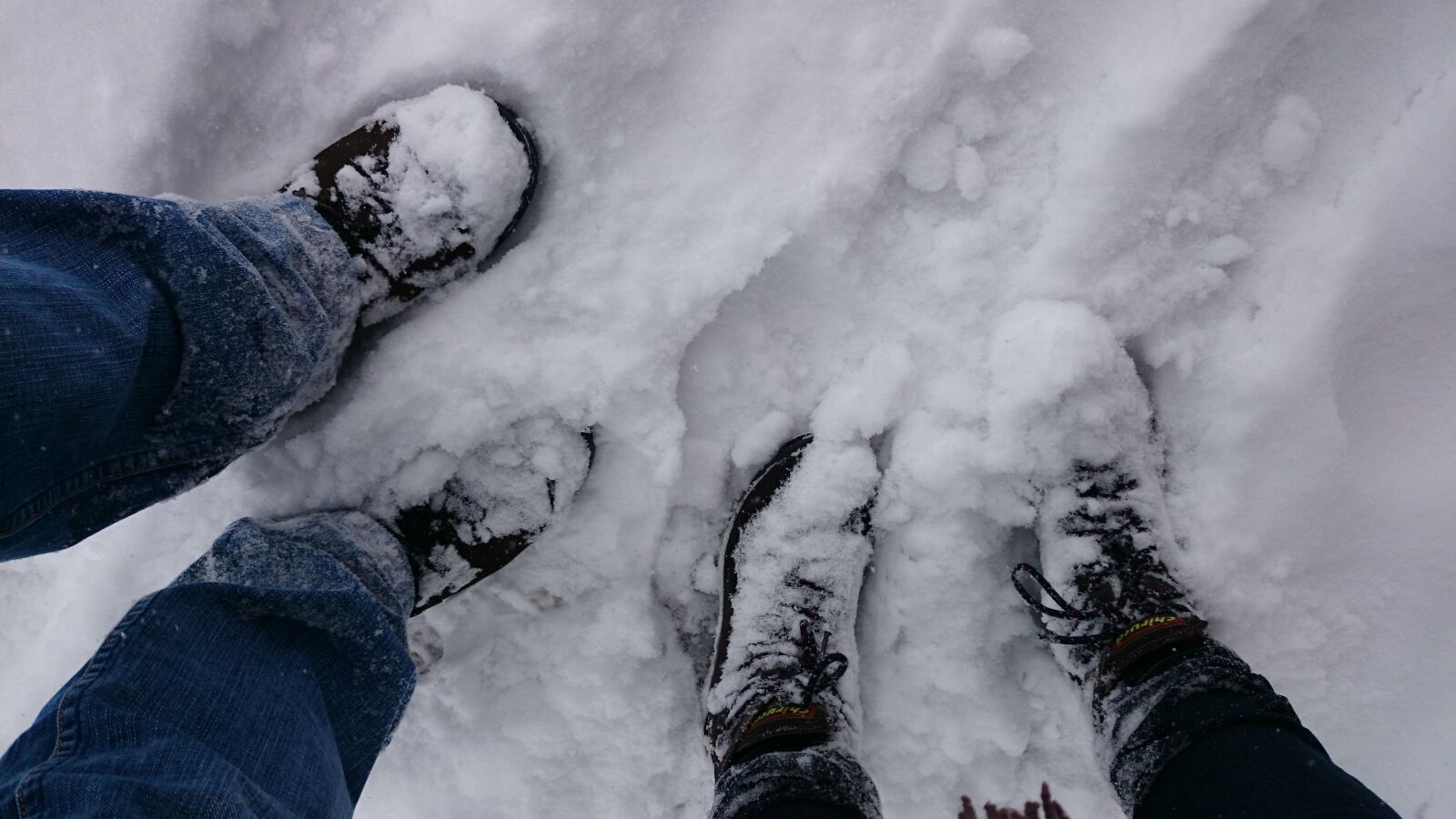Sony Xperia Z1 Compact sample photo. Para, legs, winter photography
