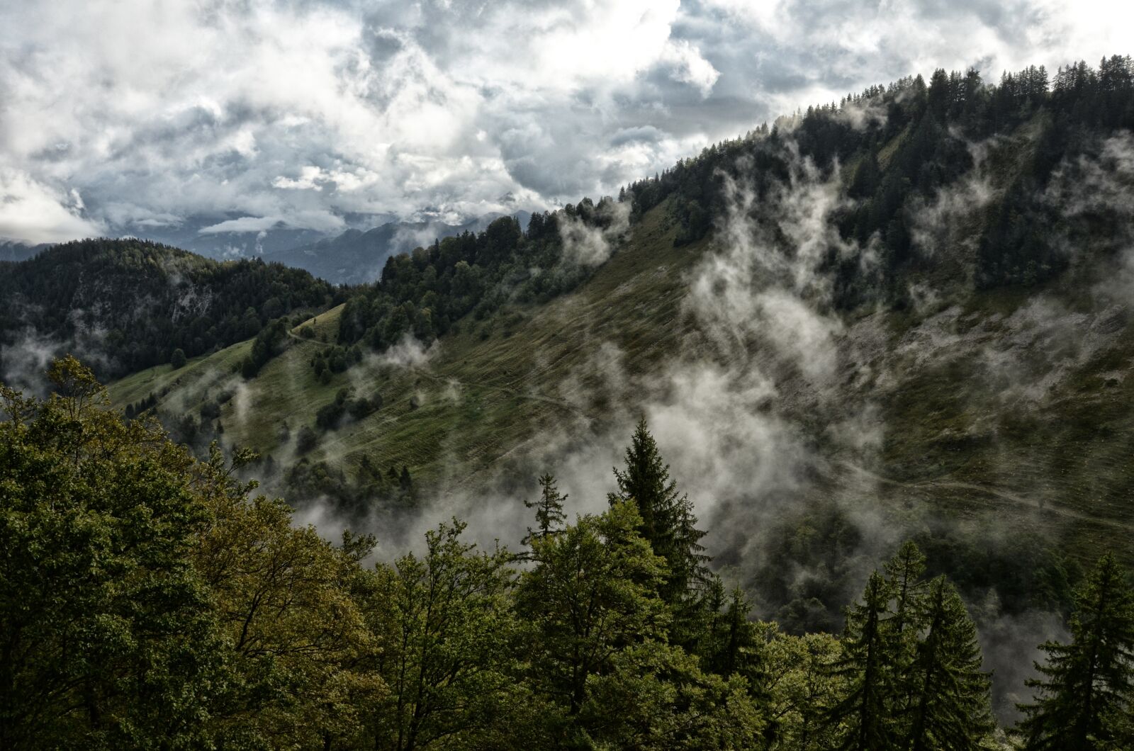 Nikon D5100 sample photo. Mist, mountain, fir photography