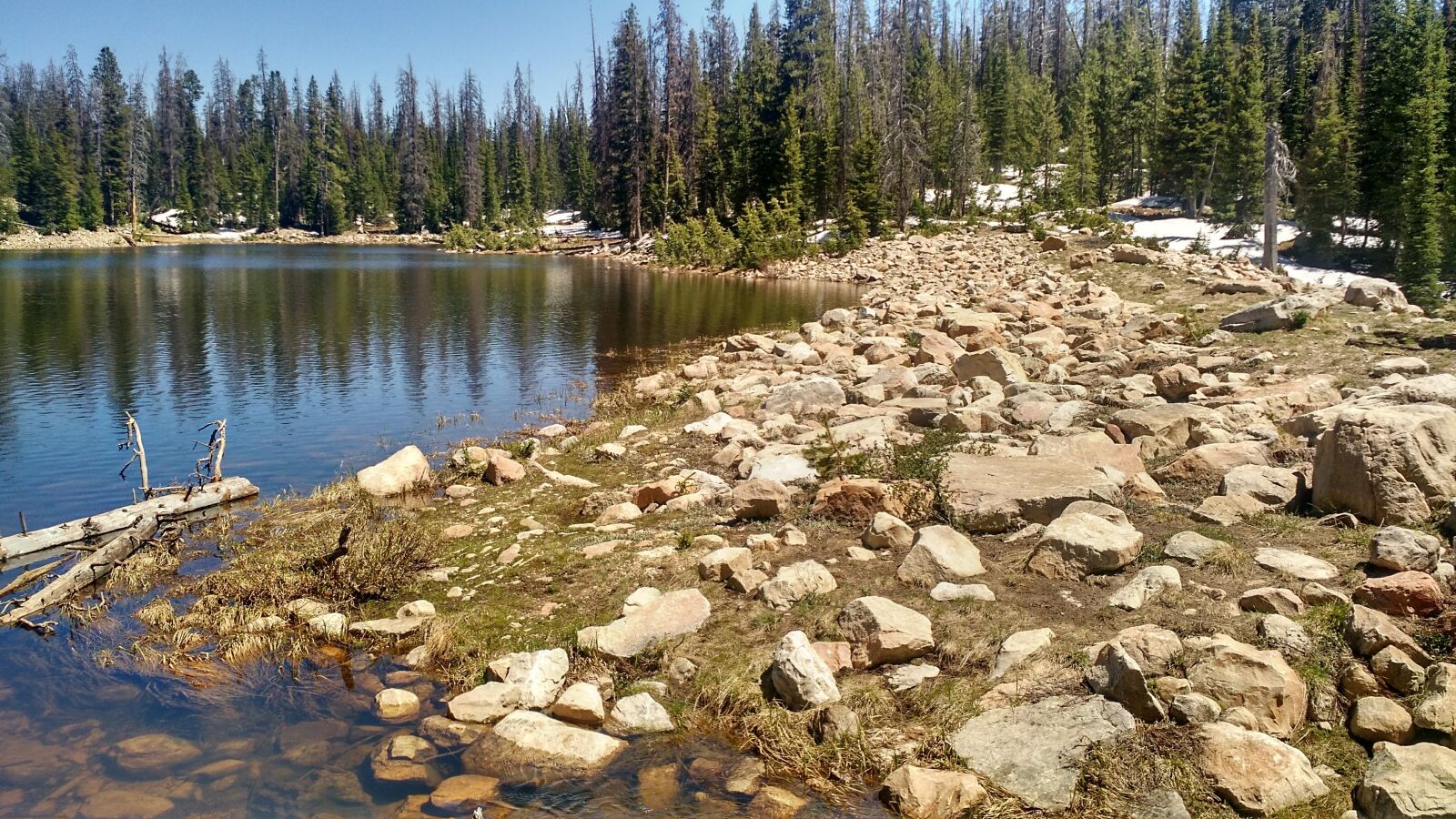 Motorola Moto X (2nd Gen) sample photo. Shore, lake, trees photography