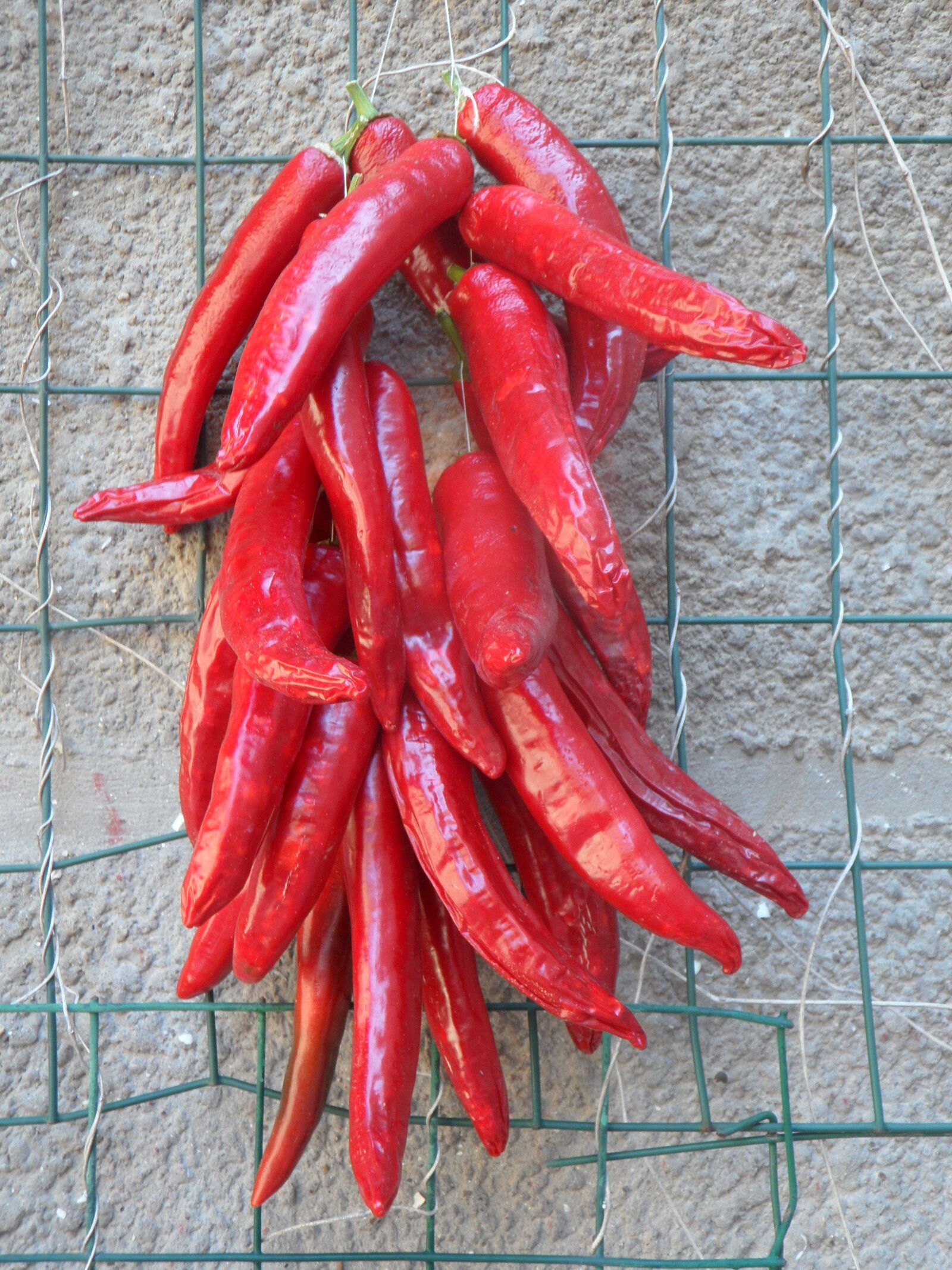 Samsung VLUU WB210, SAMSUNG WB210 sample photo. Pepperoni, chilli, sharp photography