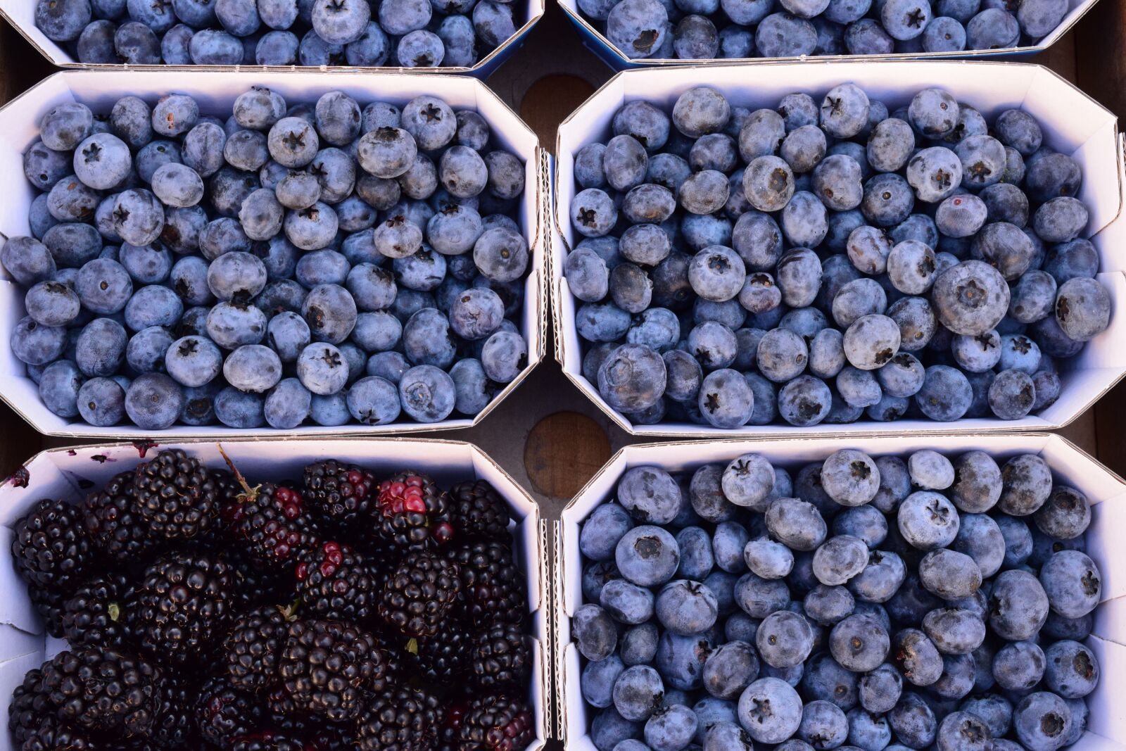 Nikon D3300 sample photo. Berries, blueberries, blackberries photography