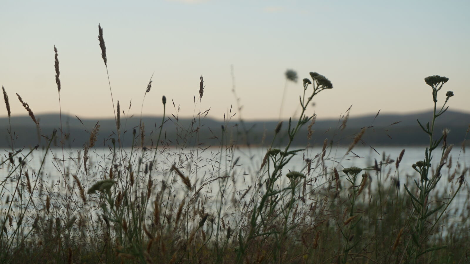 Sony a6000 sample photo. Flowers, lake, mountains, summer photography