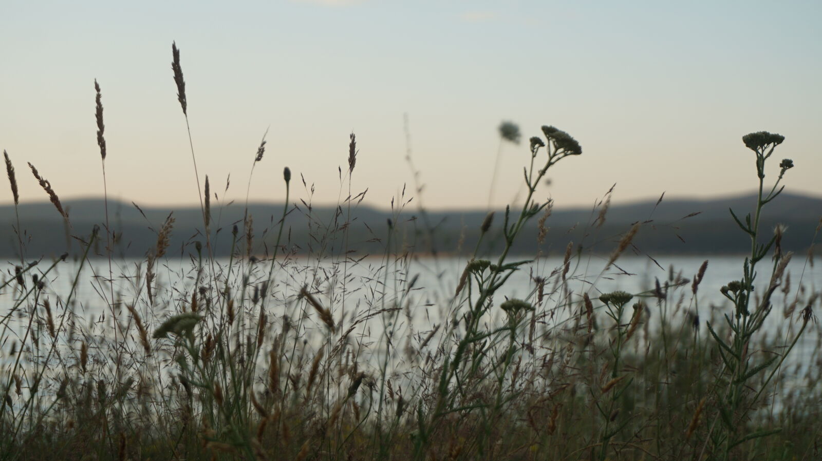 Sony a6000 + Sony E 16-50mm F3.5-5.6 PZ OSS sample photo. Flowers, lake, mountains, summer photography