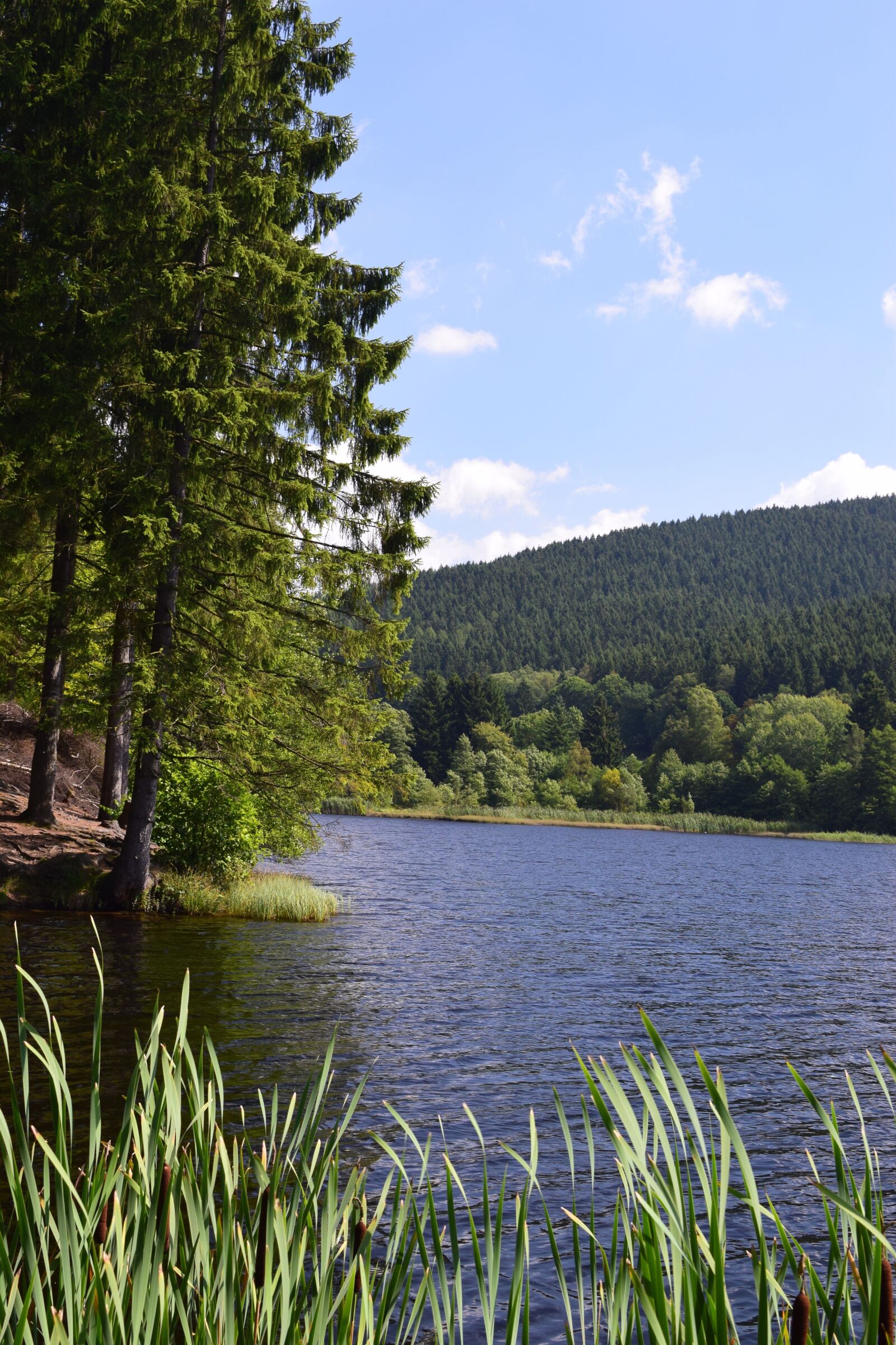 Nikon D5300 sample photo. Landscape, reservoir, lake photography