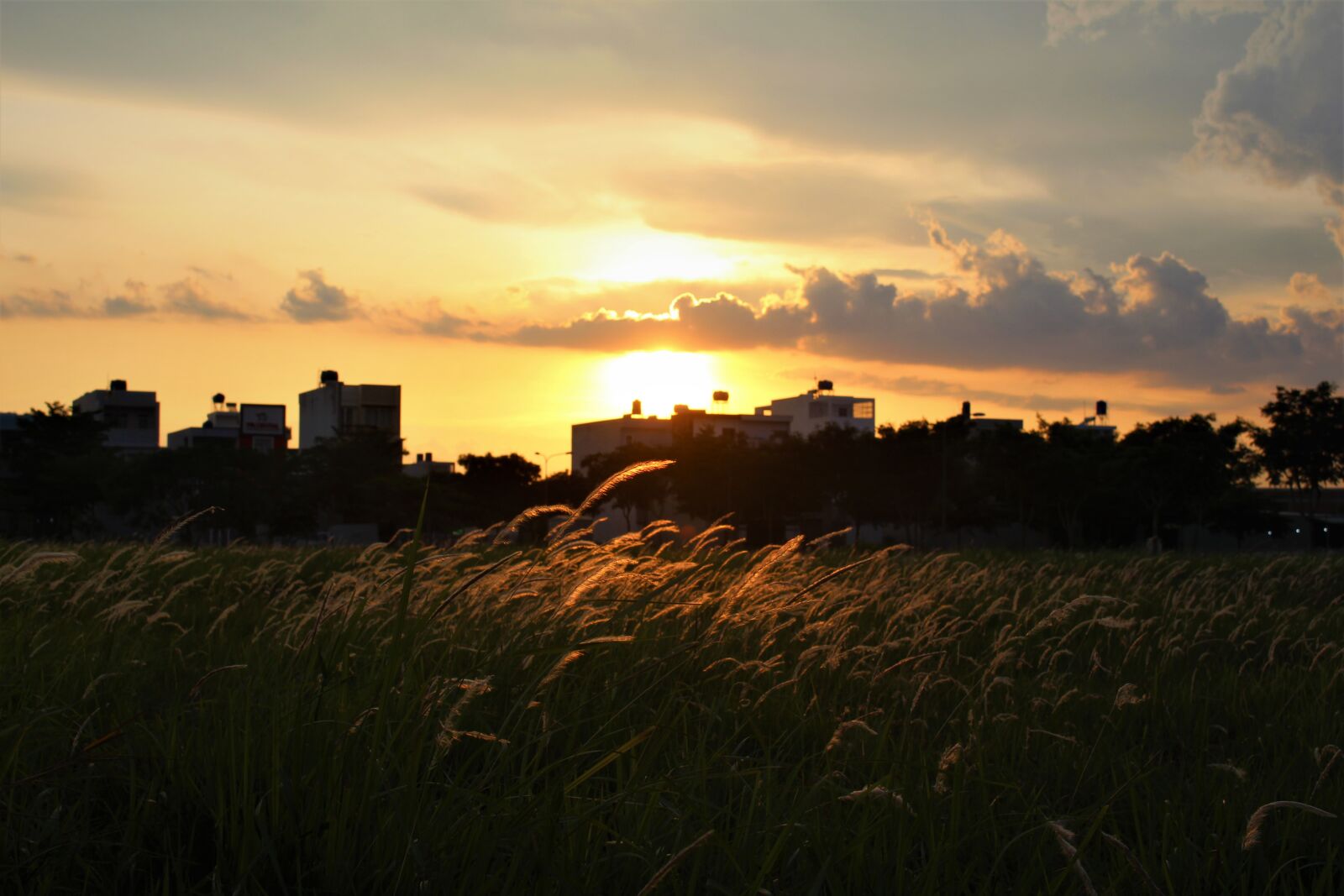 Canon EOS 700D (EOS Rebel T5i / EOS Kiss X7i) sample photo. Sunset, nature, landscape photography