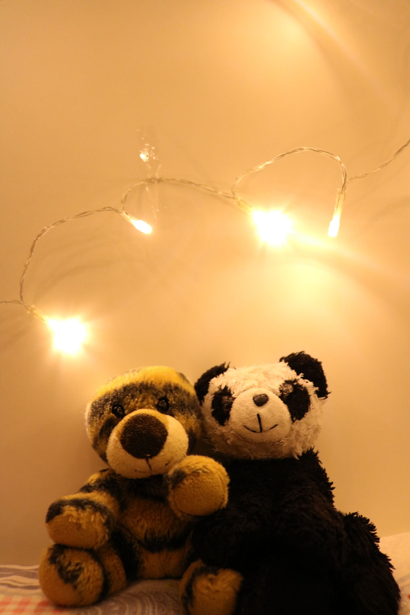 Canon EOS 750D (EOS Rebel T6i / EOS Kiss X8i) sample photo. Animal, animals, bear, christmas photography