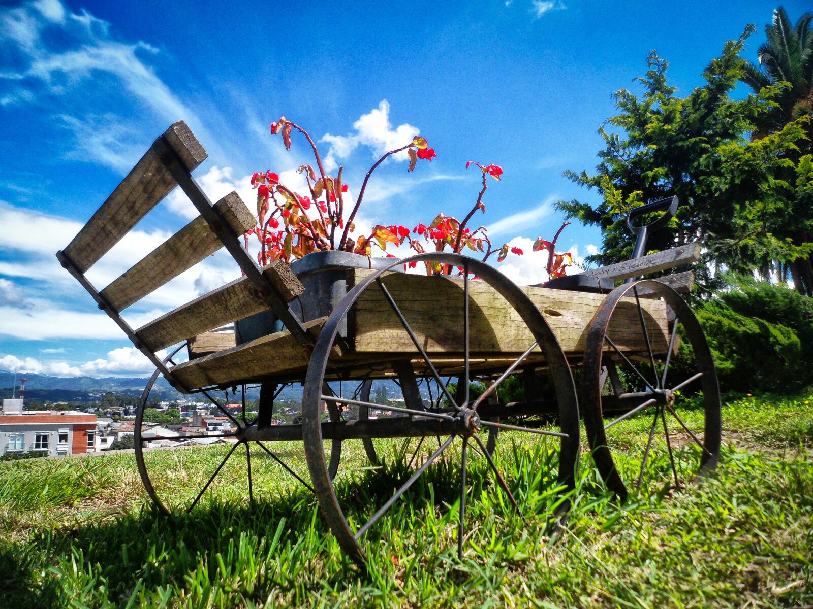 Samsung PL120,PL121 / VLUU PL120,PL121 sample photo. Cart, flowers, landscape photography