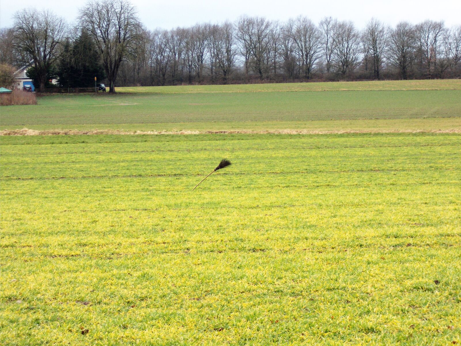 Nikon Coolpix L31 sample photo. Besen, feld, hexe photography