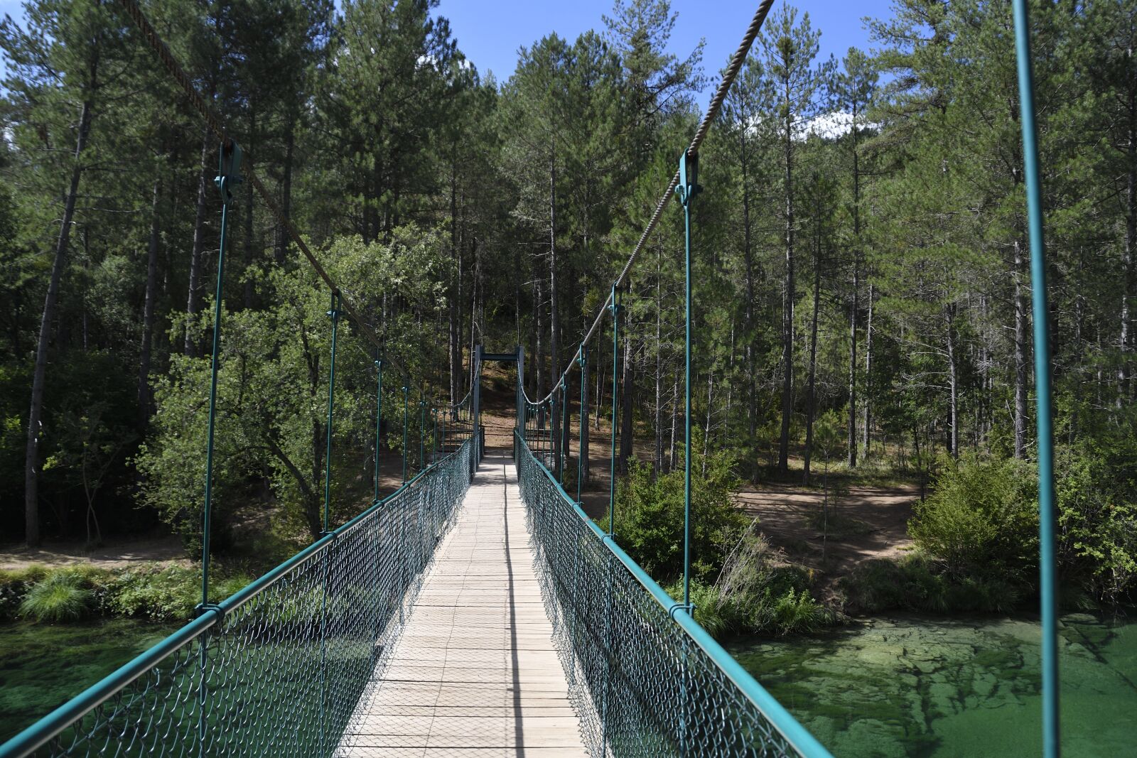 Nikon D500 sample photo. Suspension bridge, tajo, river photography