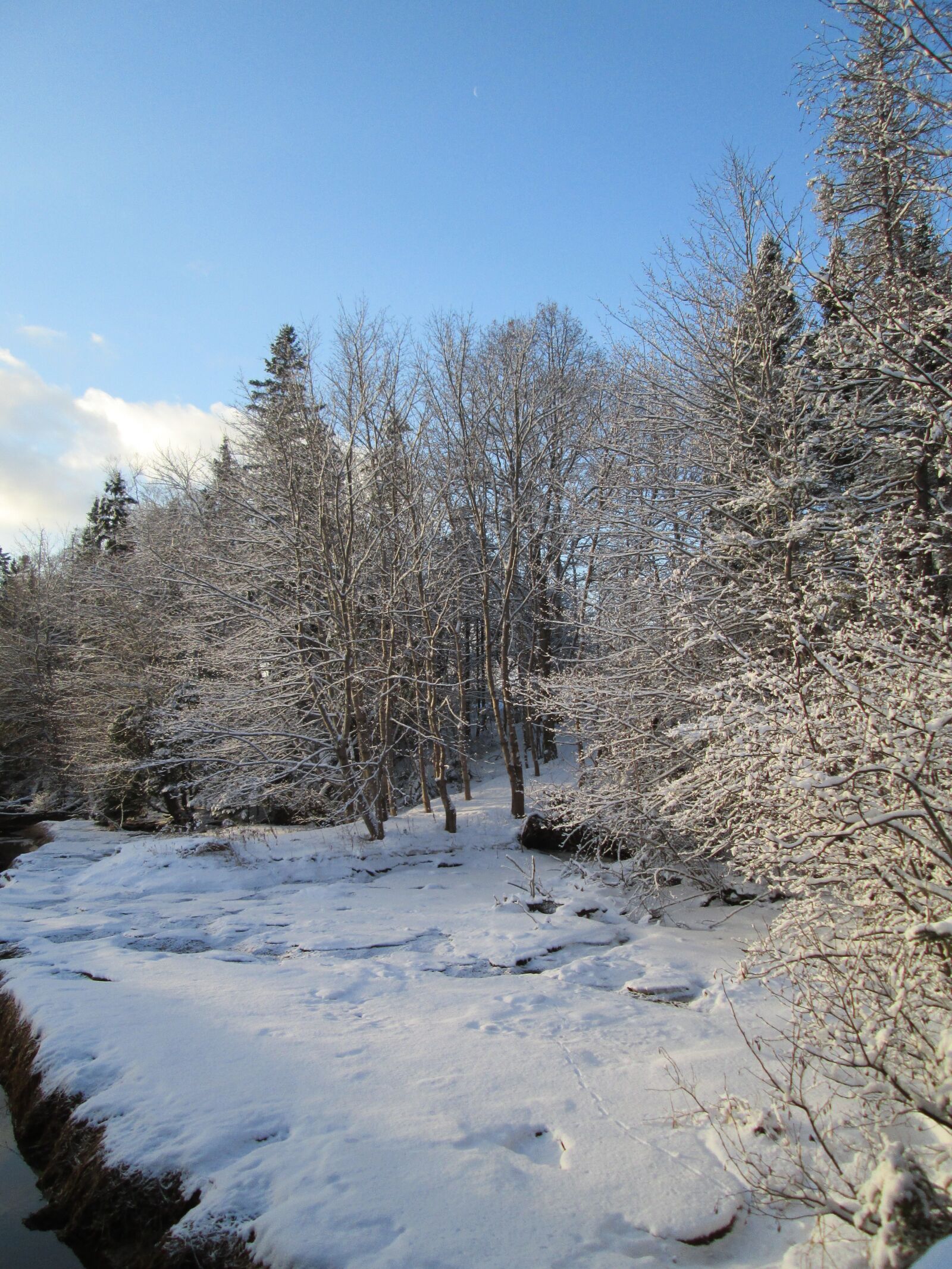 Canon PowerShot A2500 sample photo. Pei, winter, snow photography