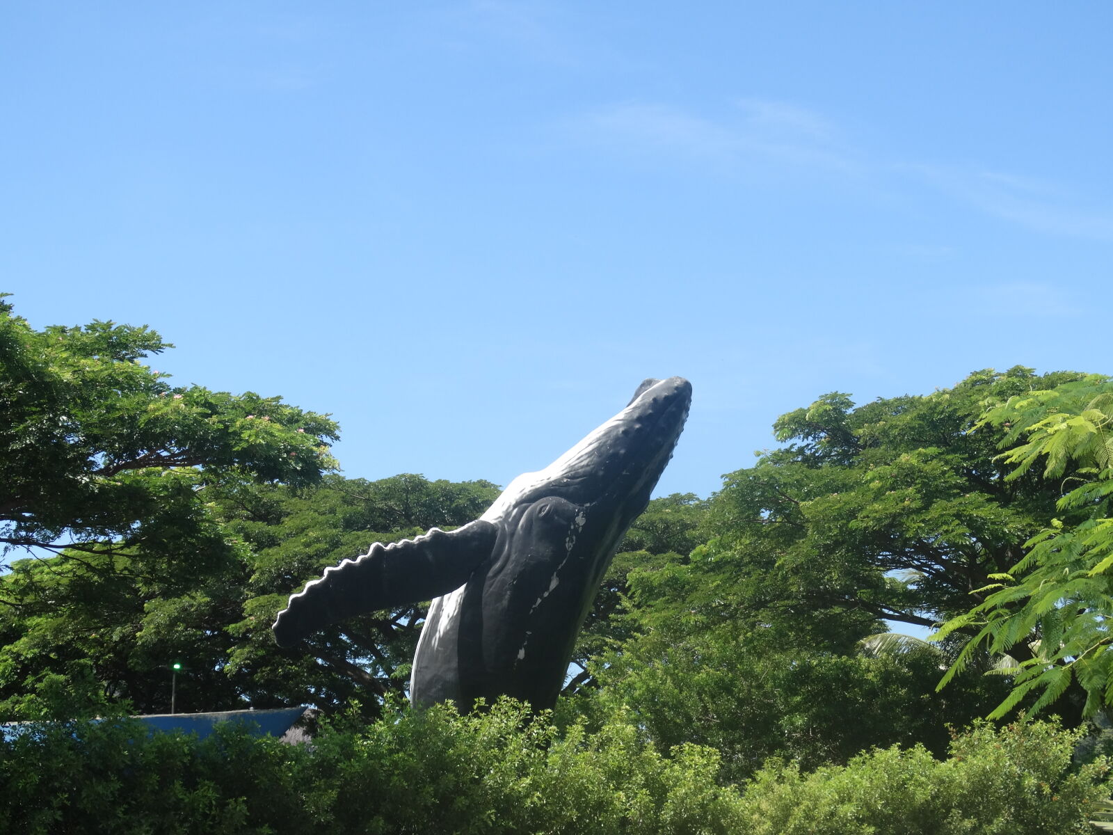 Sony Cyber-shot DSC-HX300 sample photo. Baleia mergulhando em um photography