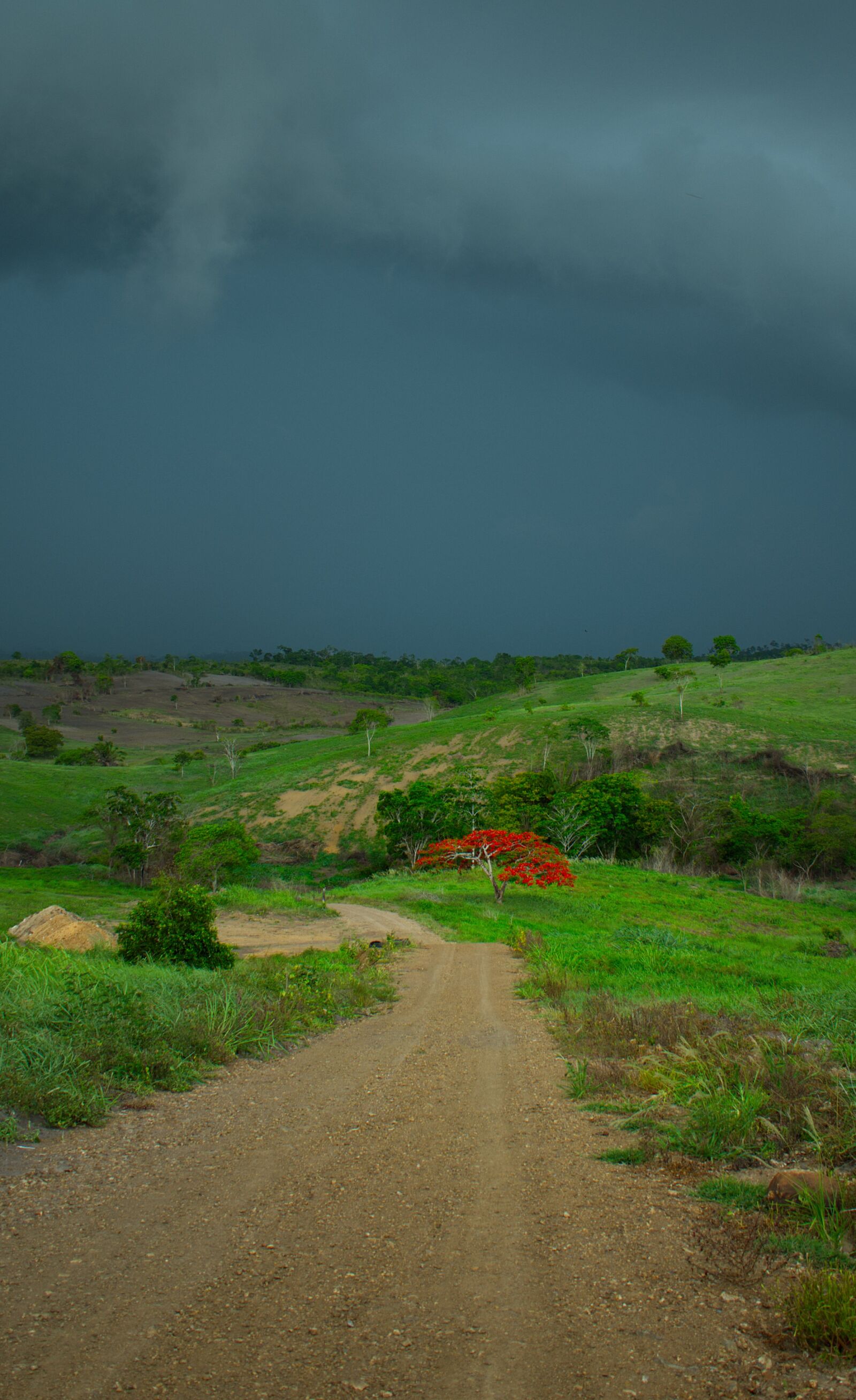 Nikon D5600 sample photo. Landscape, colorful, storm photography
