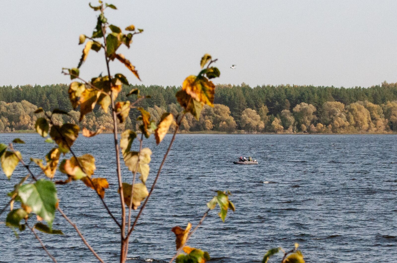 Nikon D90 sample photo. Mozhaiskoye, reservoir, region photography
