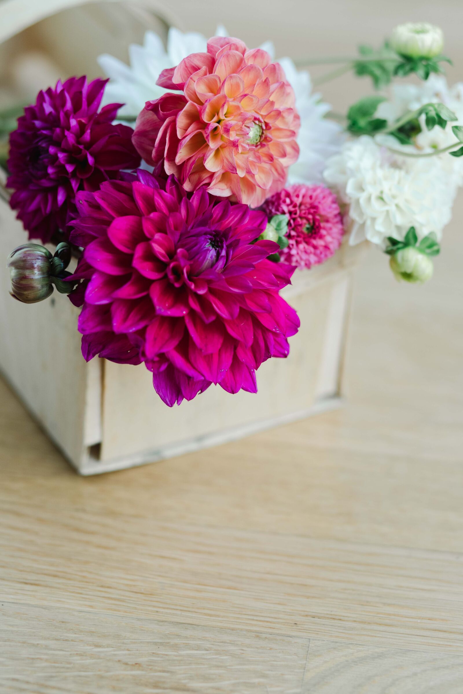 Canon EF 85mm F1.8 USM sample photo. Flower basket, dahlias, vintage photography