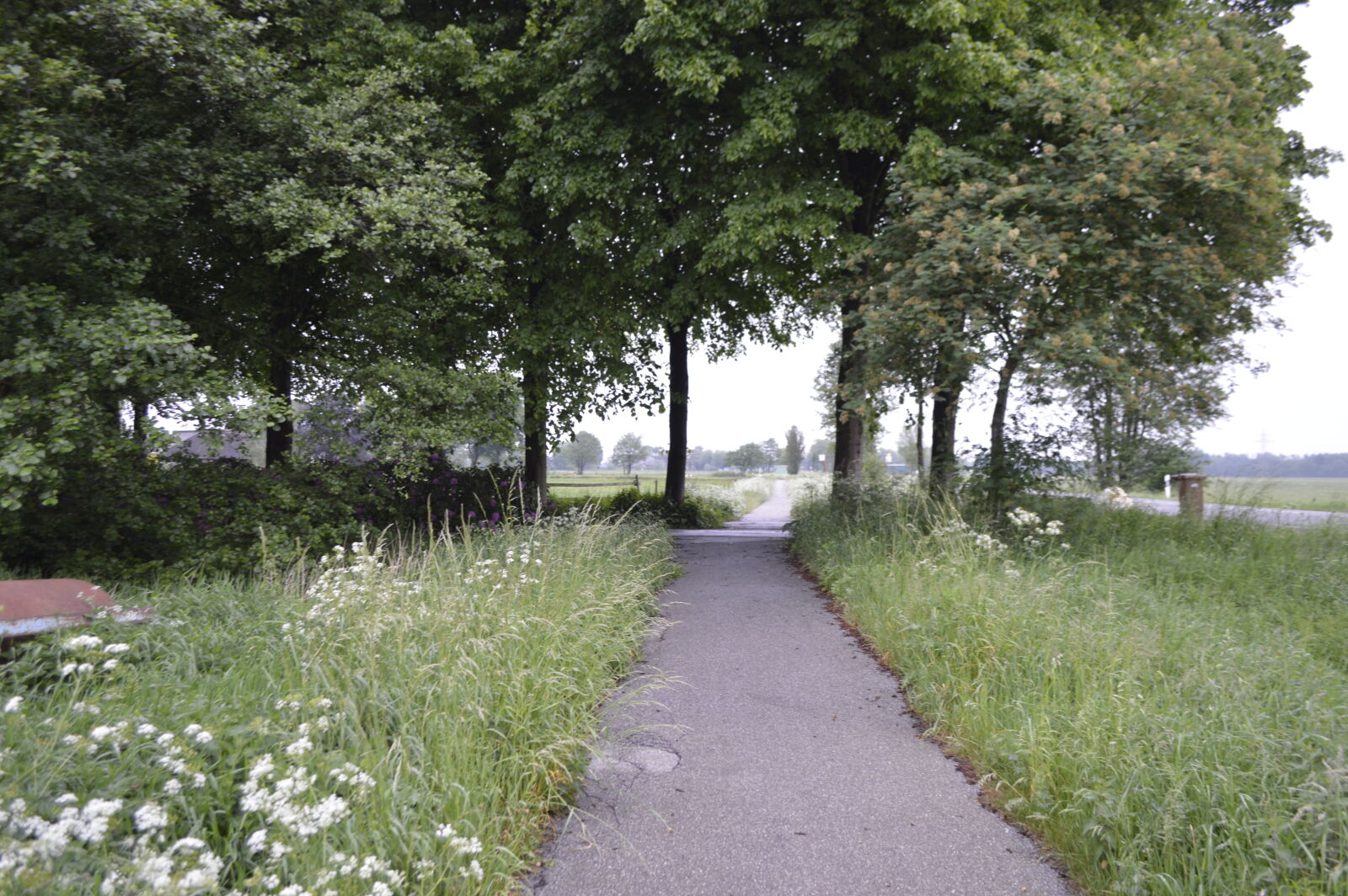 Nikon D3200 sample photo. Path, trail, walk photography
