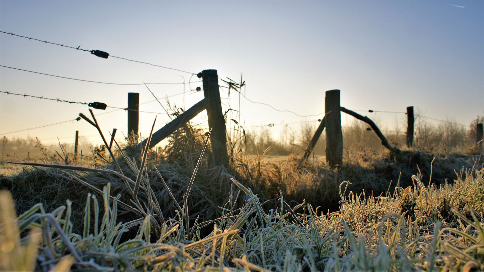 Sony Alpha DSLR-A350 sample photo. Secretion, winter, meadow photography