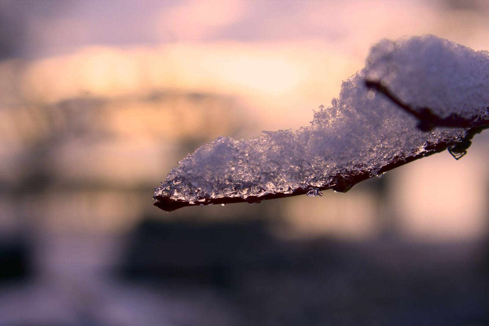 Canon EOS 600D (Rebel EOS T3i / EOS Kiss X5) sample photo. Winter, snow, evening photography