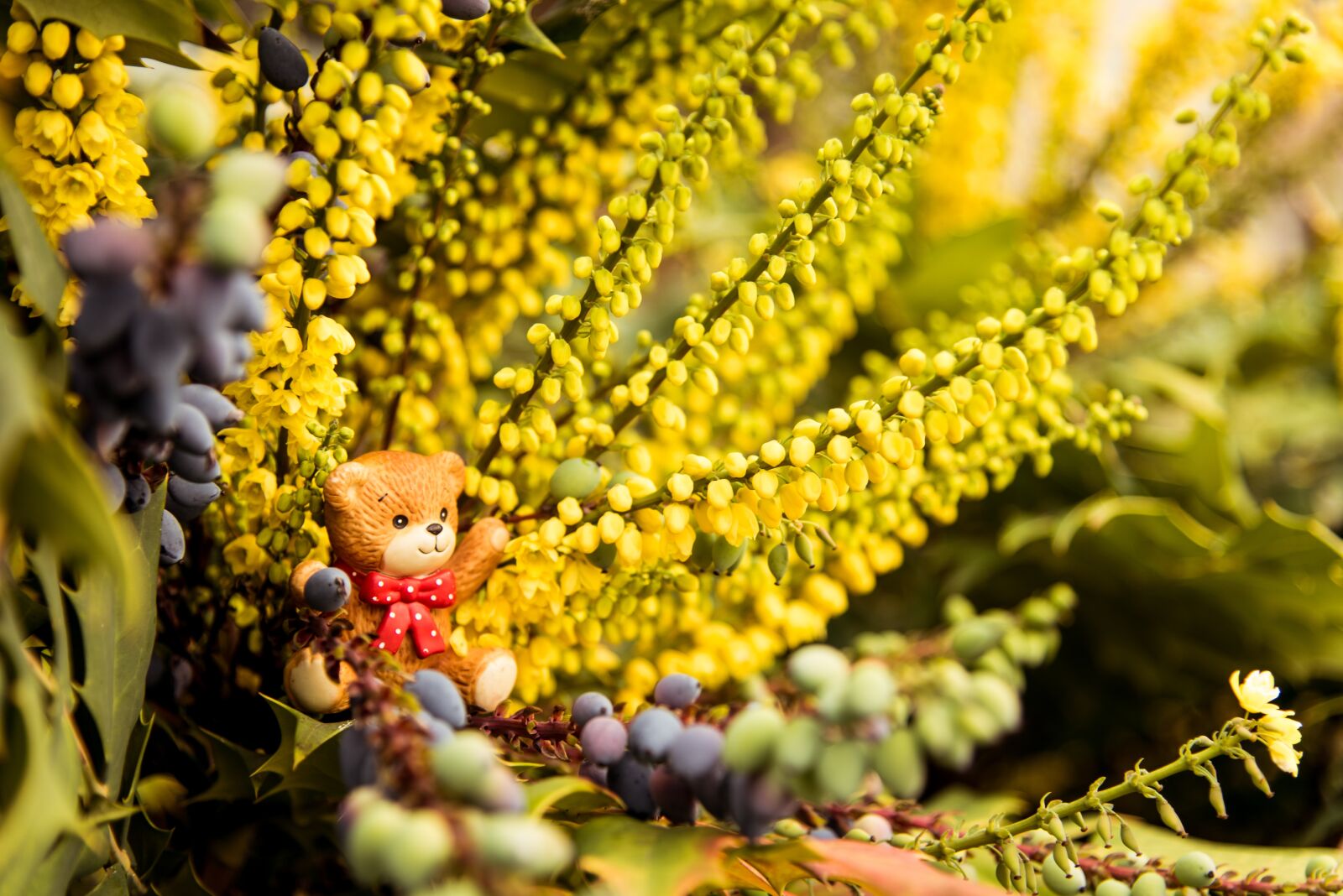 Nikon D750 sample photo. Bear, toy, flowers photography