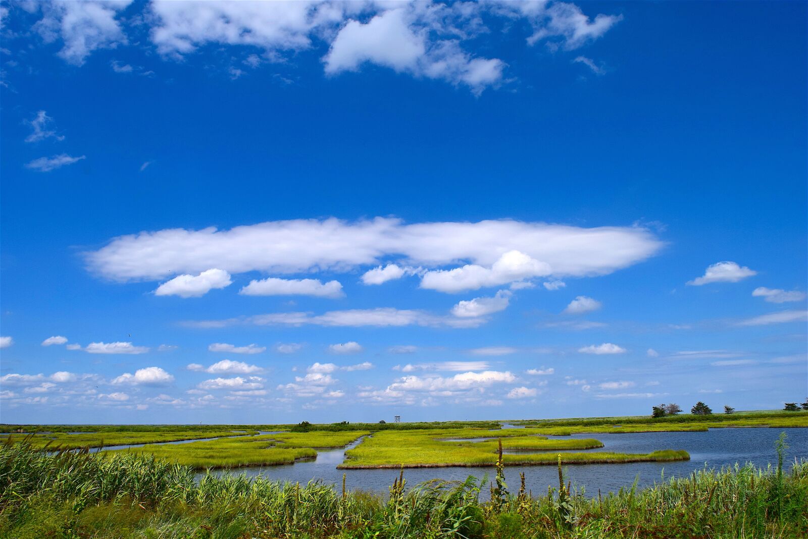 Nikon D3300 sample photo. Marsh, water, sky photography