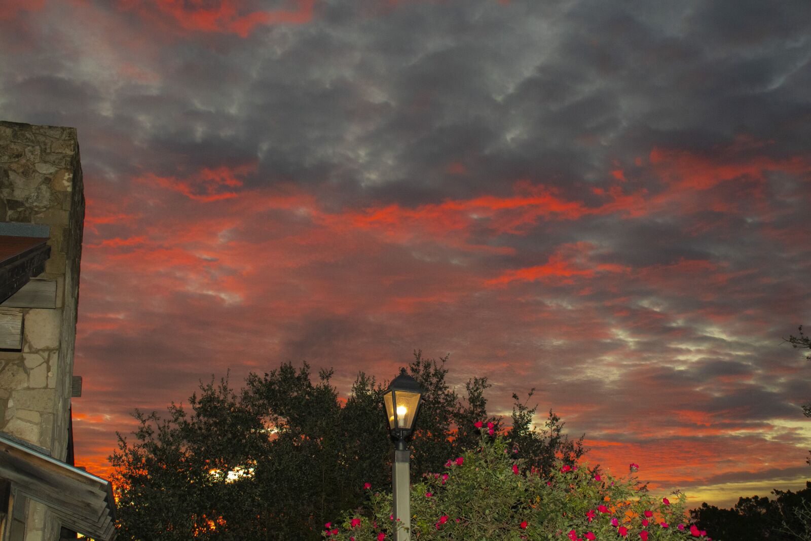 Canon EOS 800D (EOS Rebel T7i / EOS Kiss X9i) sample photo. Sunrise, texas hill country photography