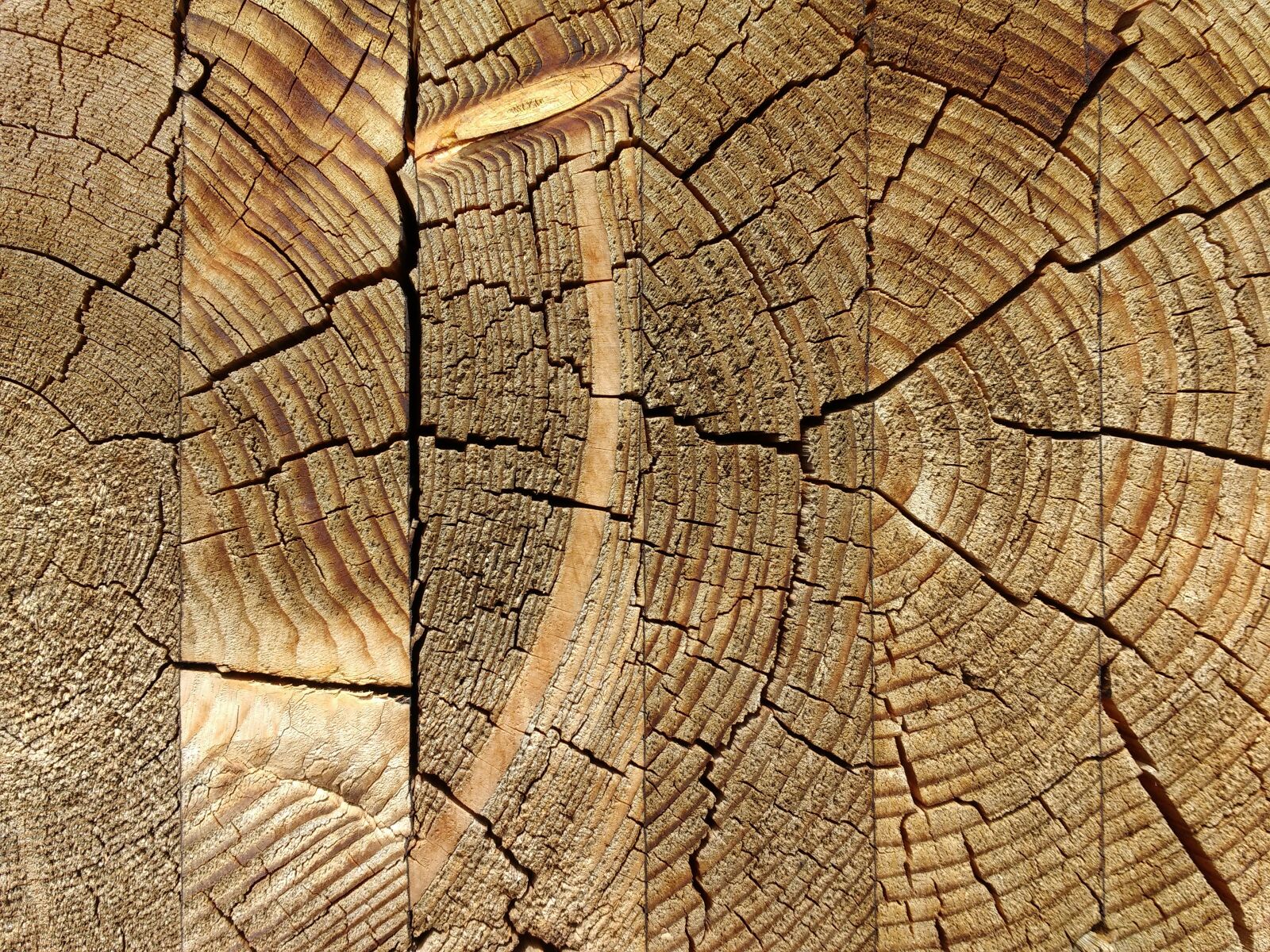 Motorola MotoG3 sample photo. Wood, glued, weathered photography