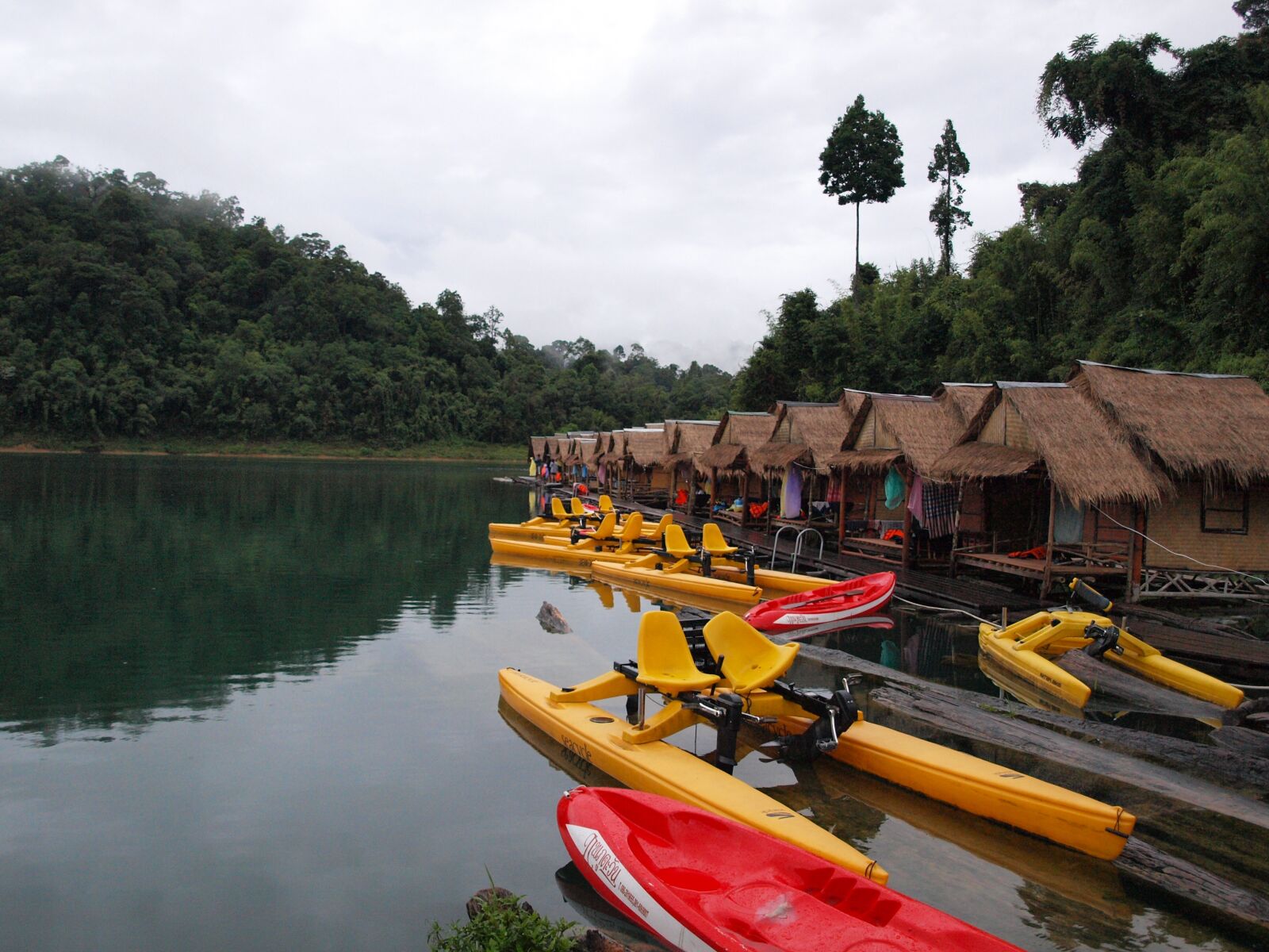 Olympus E-420 (EVOLT E-420) sample photo. Khao sok national park photography
