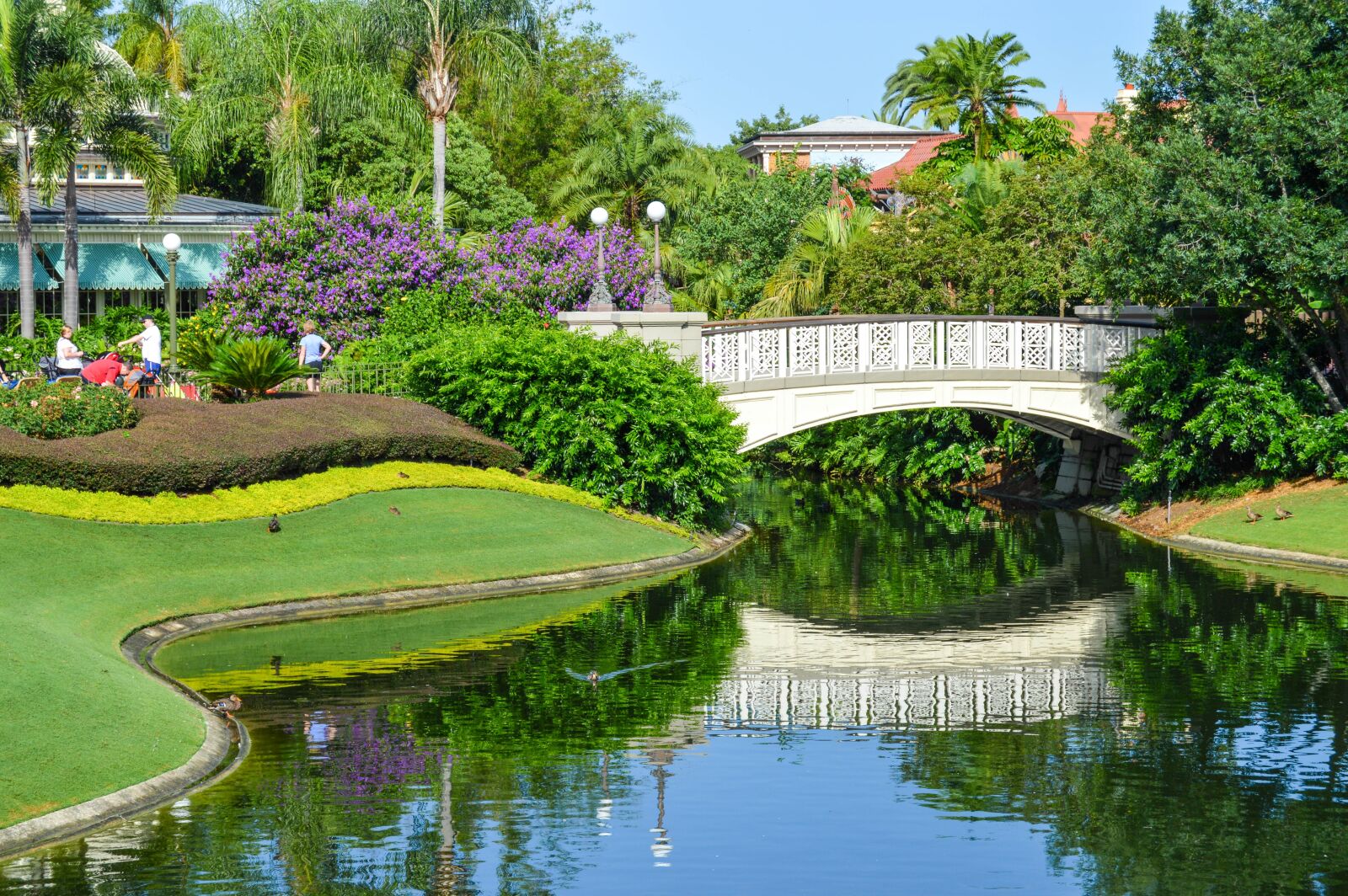 Nikon D3200 sample photo. Florida, orlando, walt disney photography