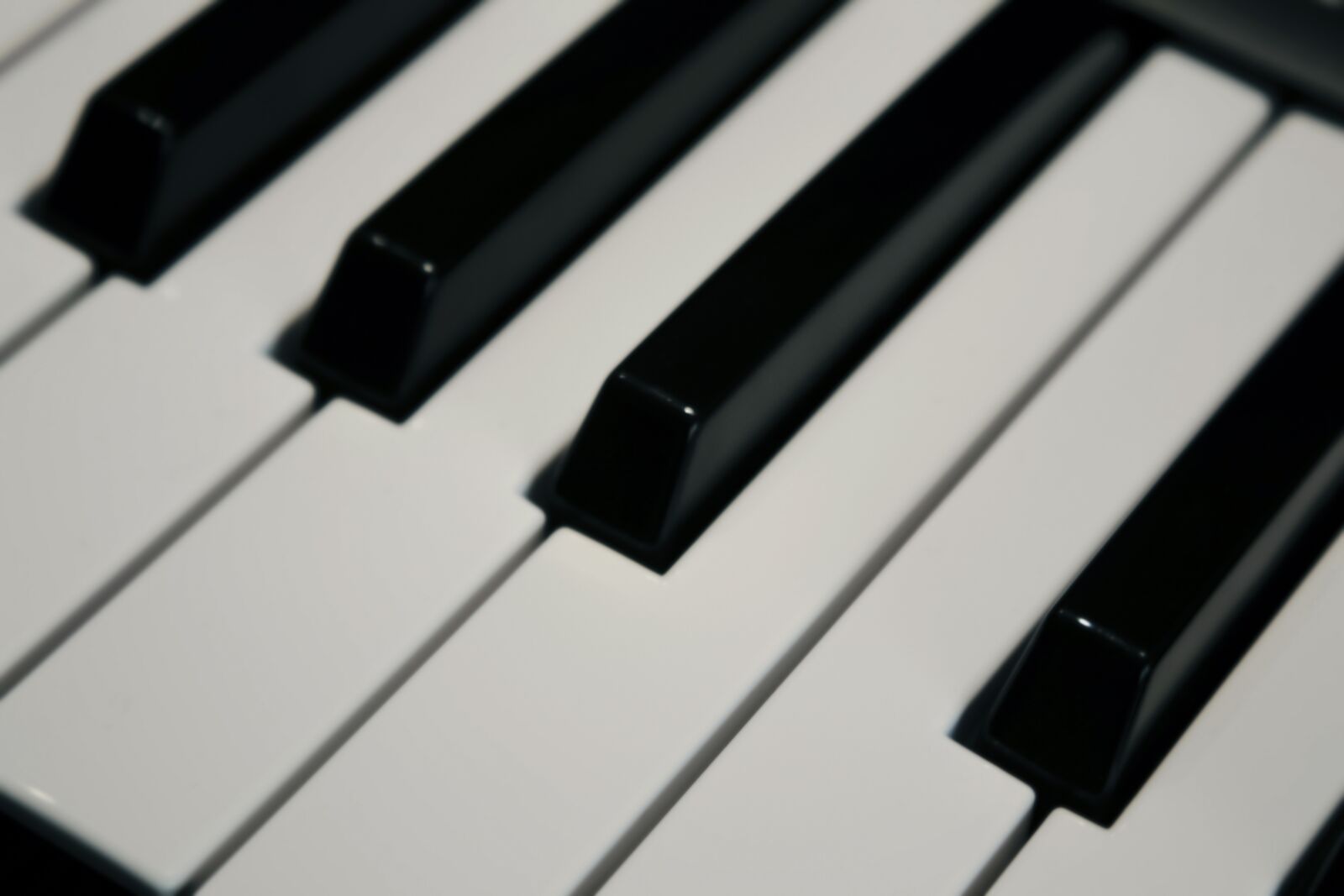 Canon EOS 450D (EOS Rebel XSi / EOS Kiss X2) sample photo. Plan, music, piano photography